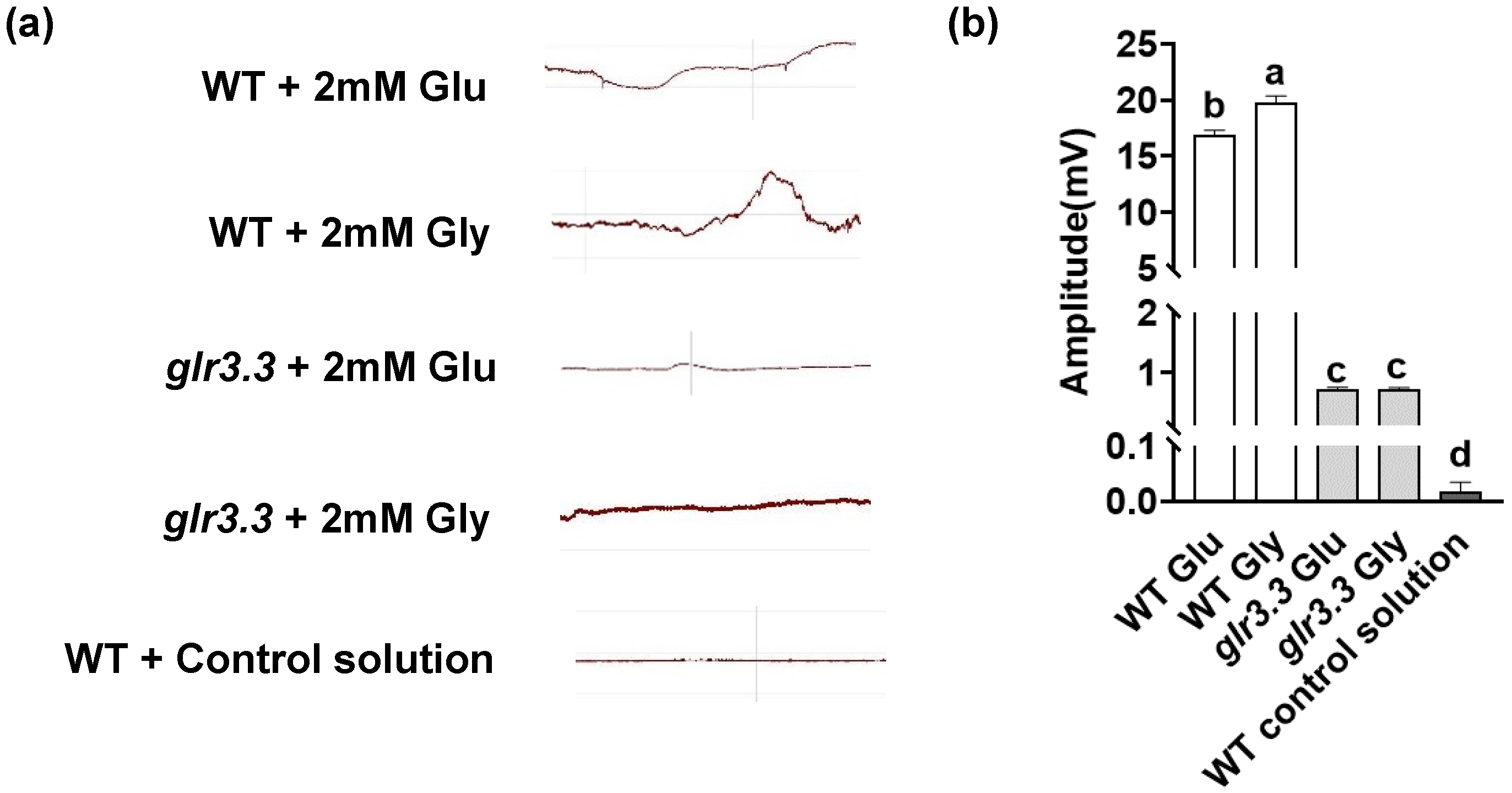 Applsci 11 11217 g004 550