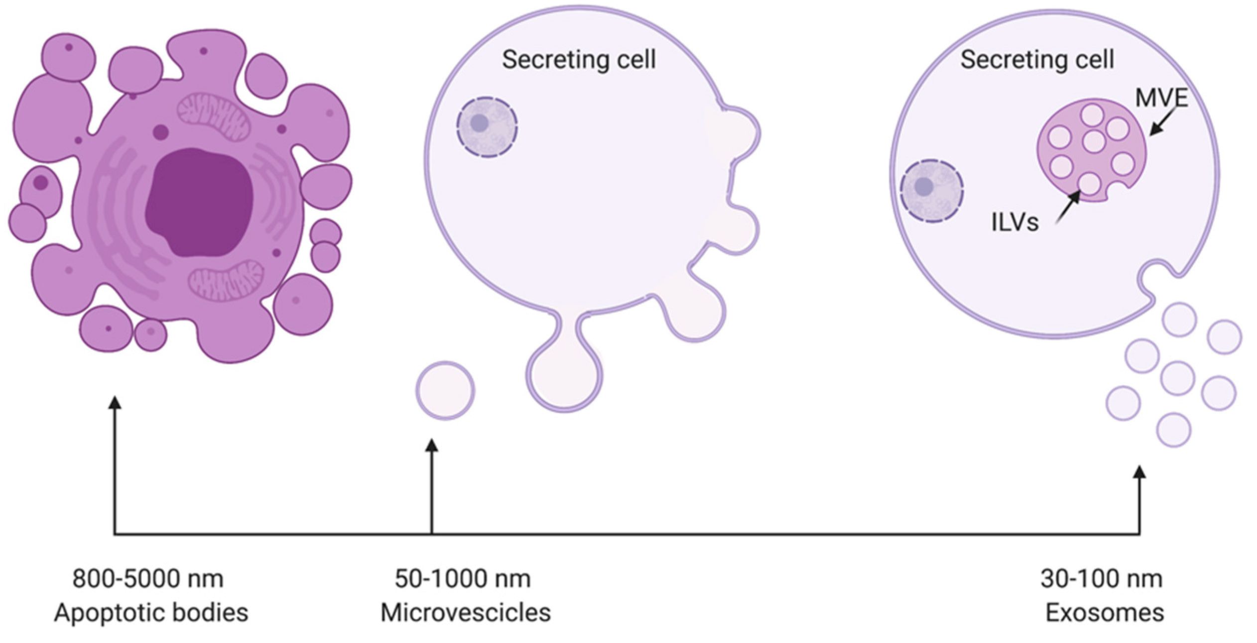 Applsci 11 11222 g001 550