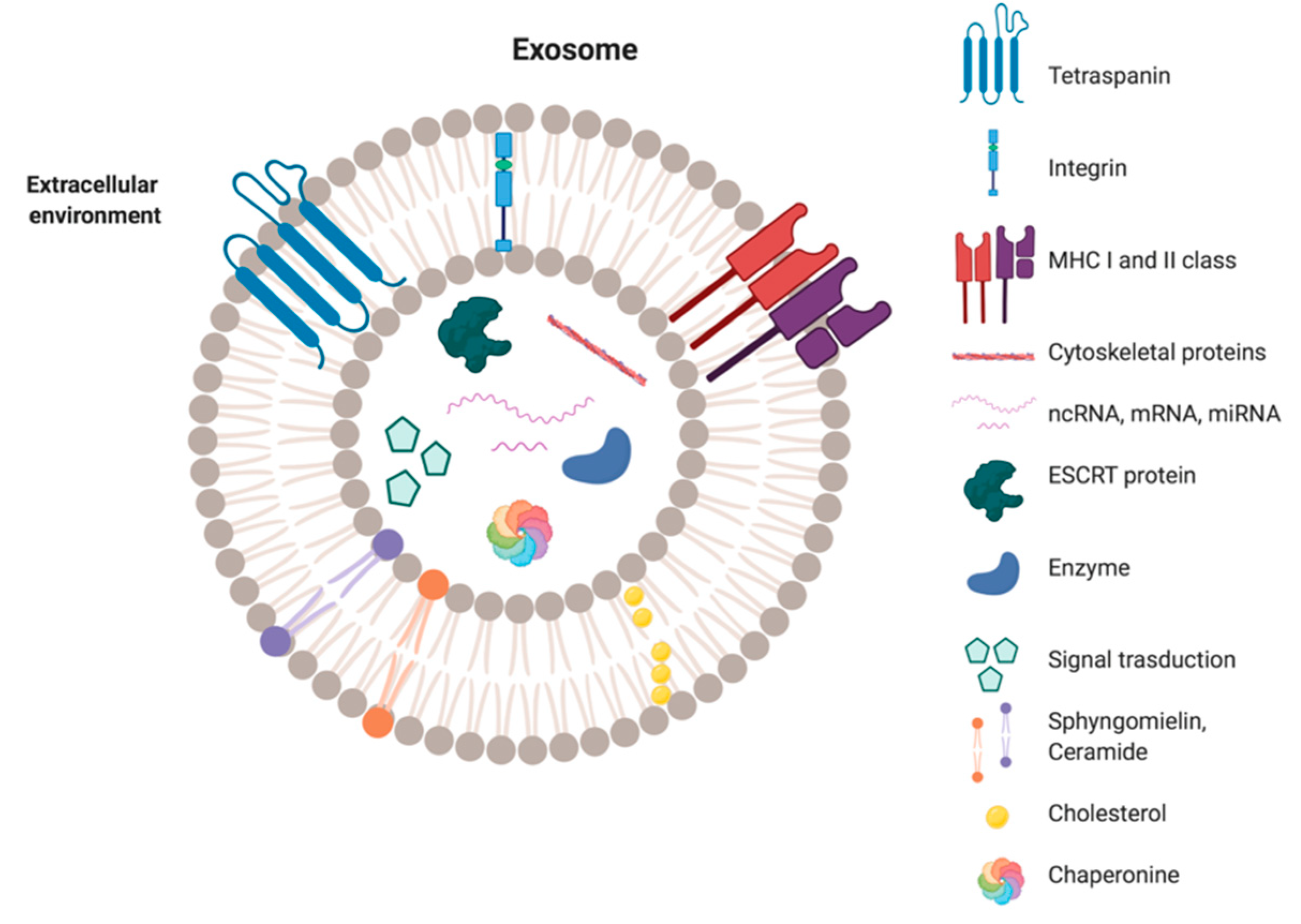 Applsci 11 11222 g002 550
