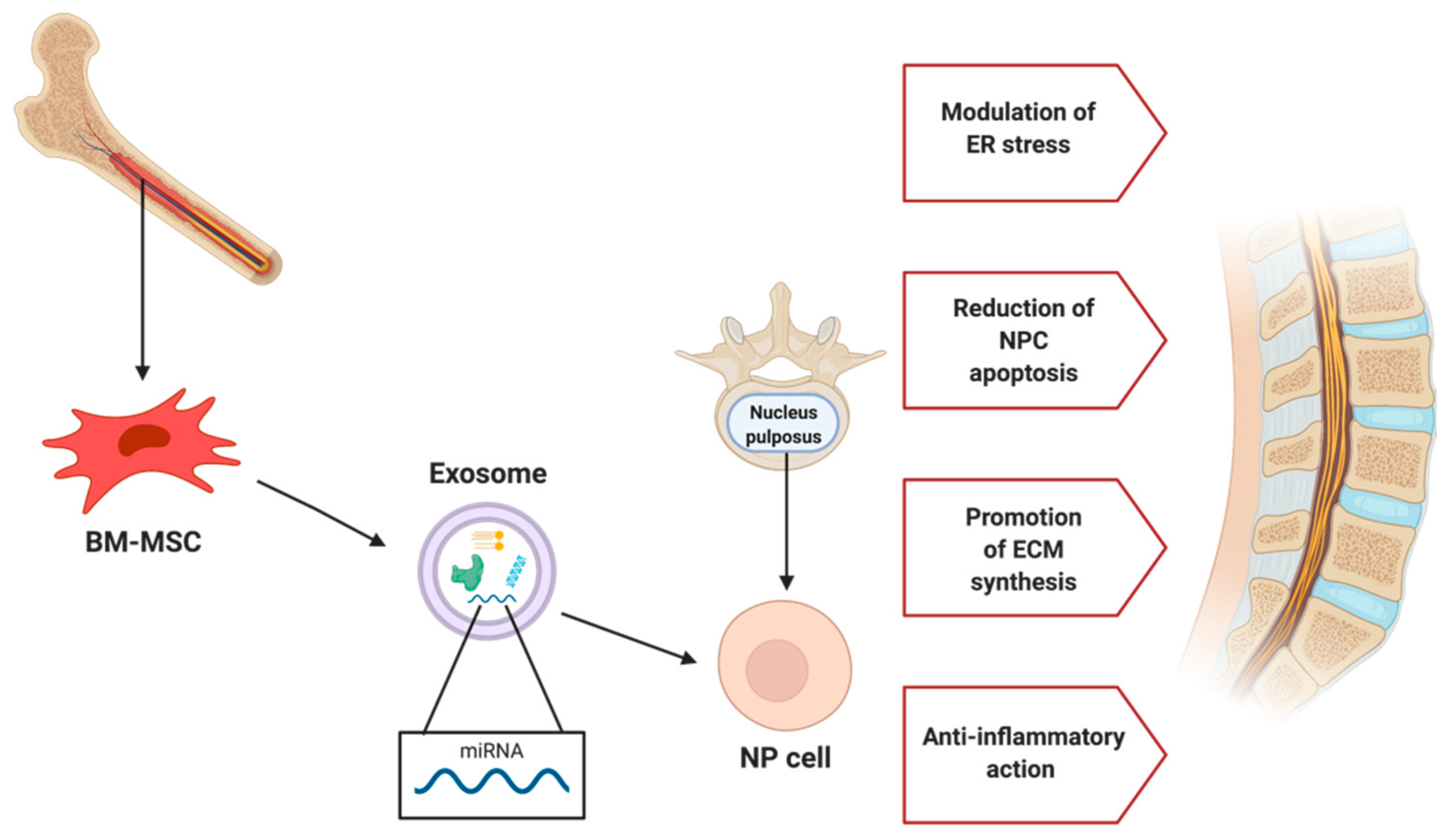 Applsci 11 11222 g004 550