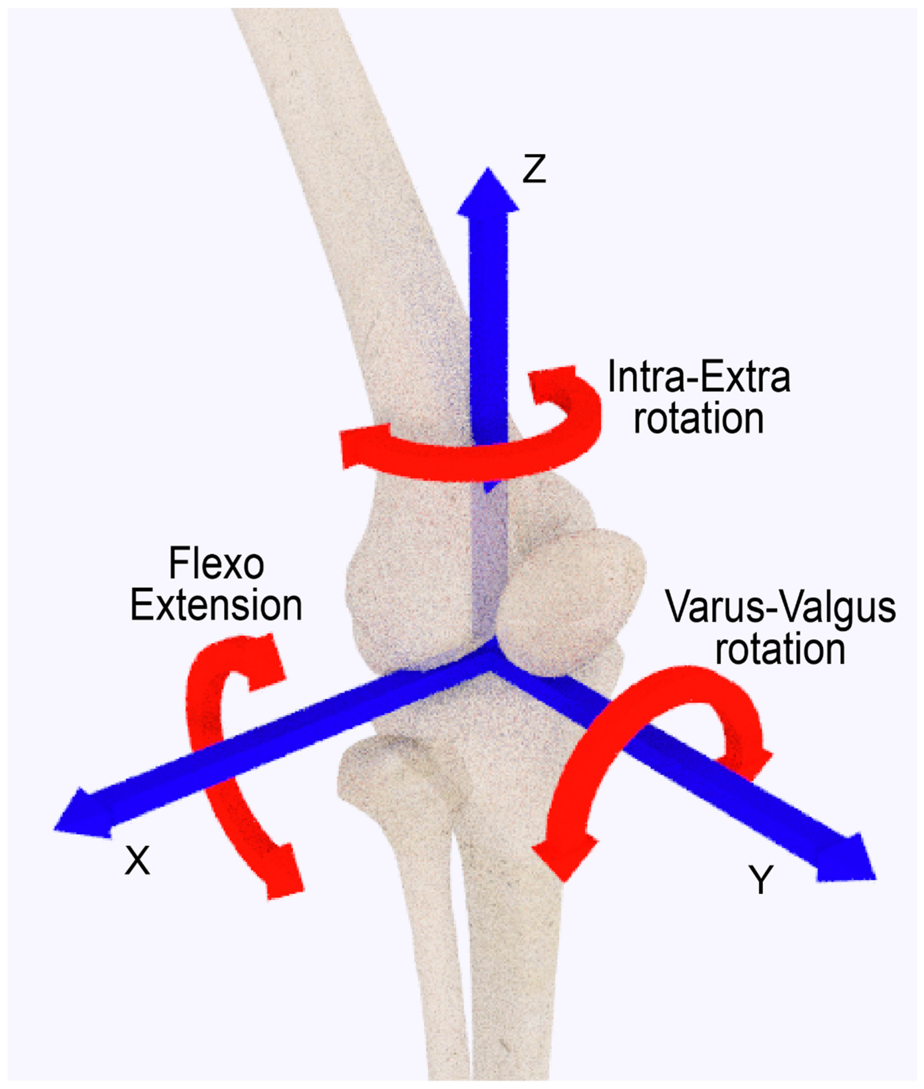 Applsci 11 11224 g005