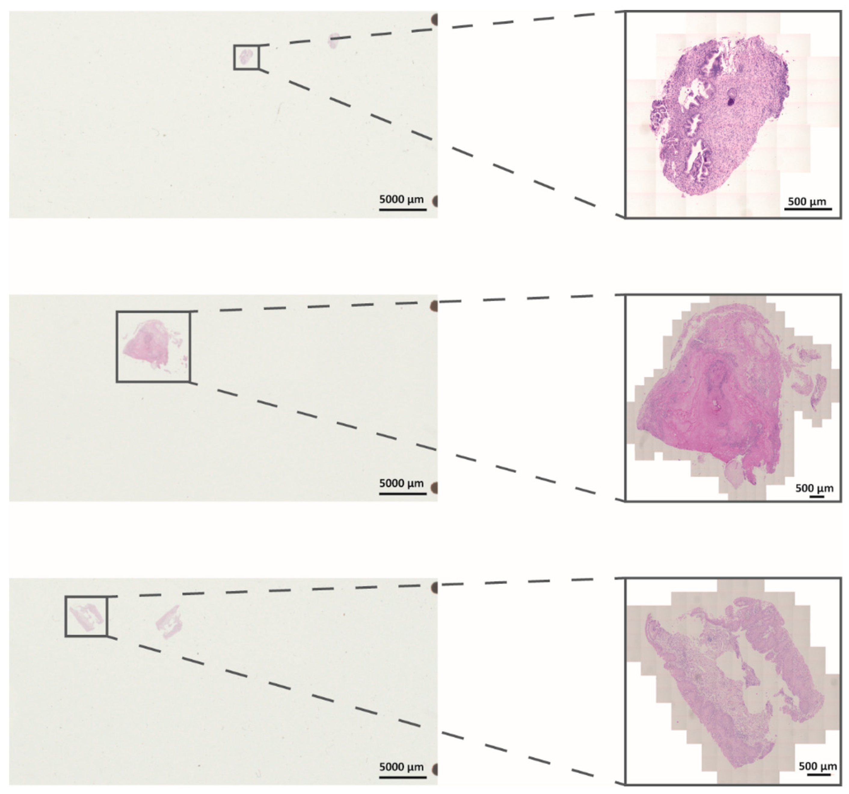 Applsci 11 11238 g001