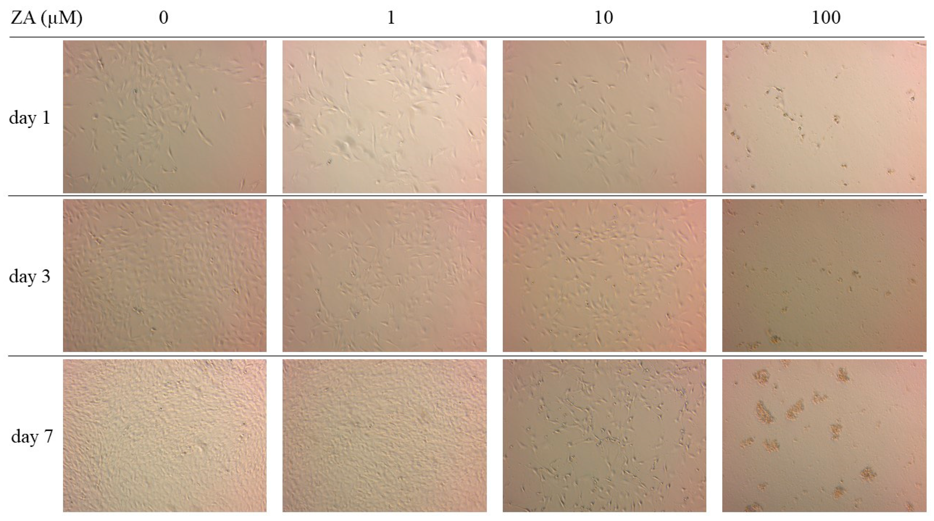 Applsci 11 11273 g002