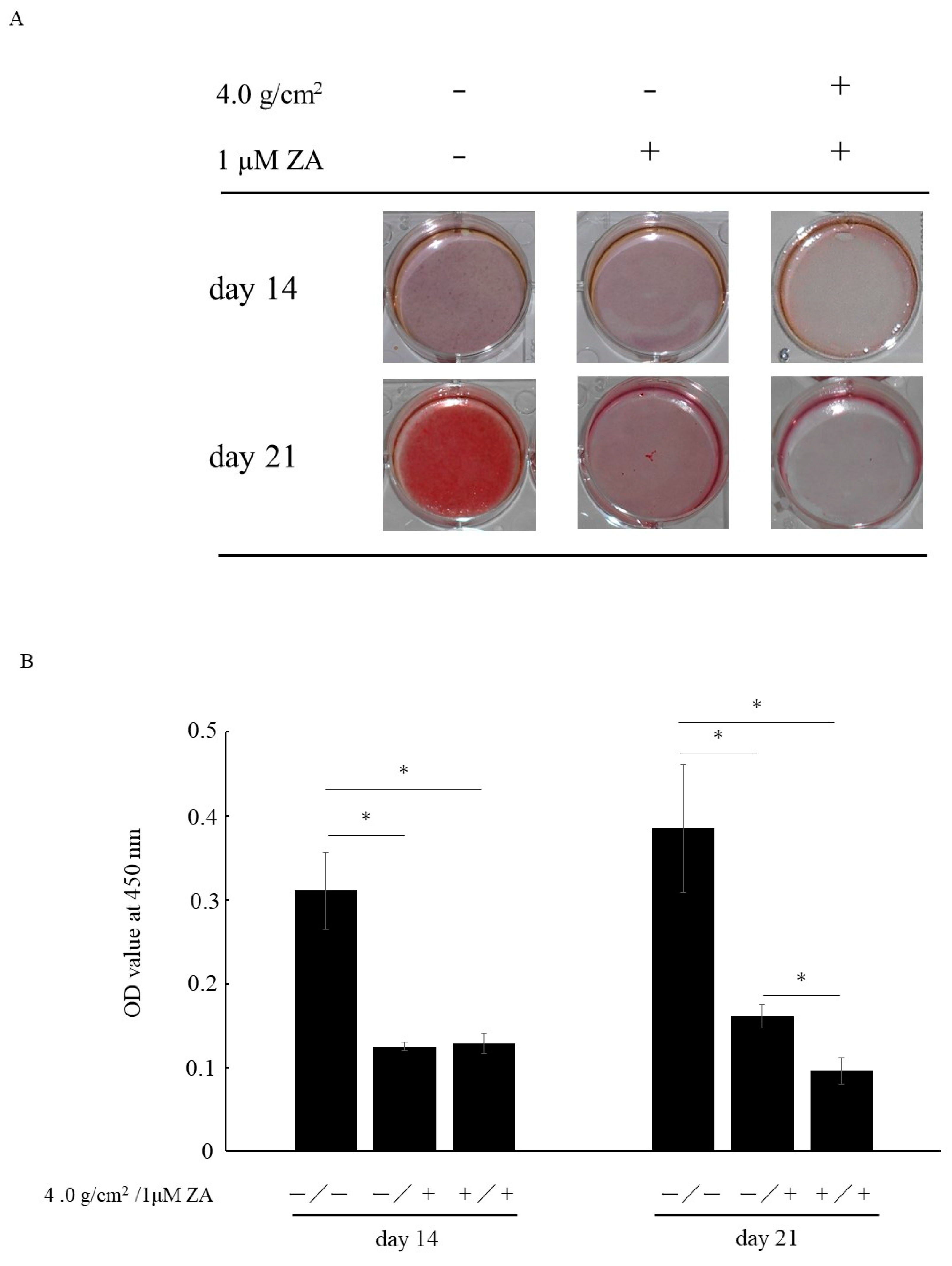 Applsci 11 11273 g004