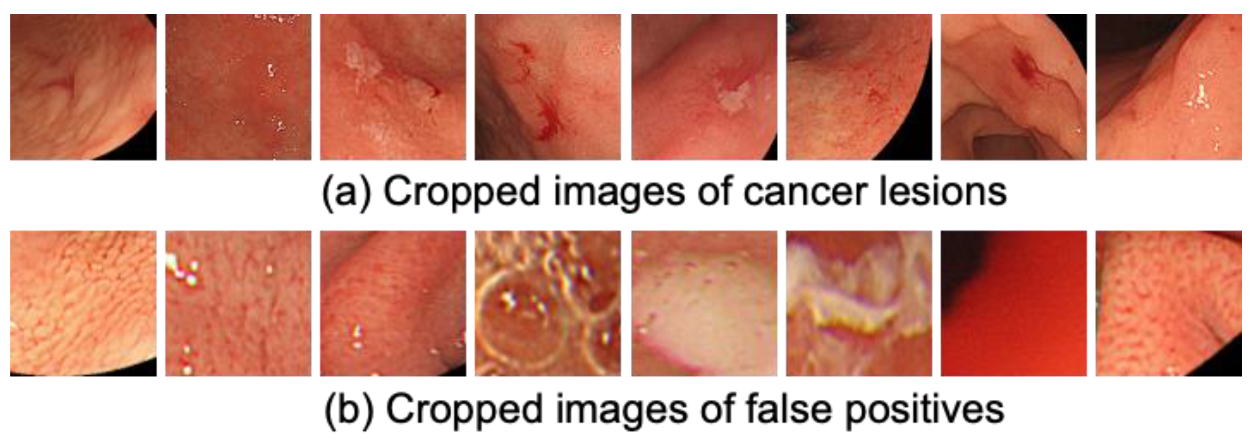 Applsci 11 11275 g005