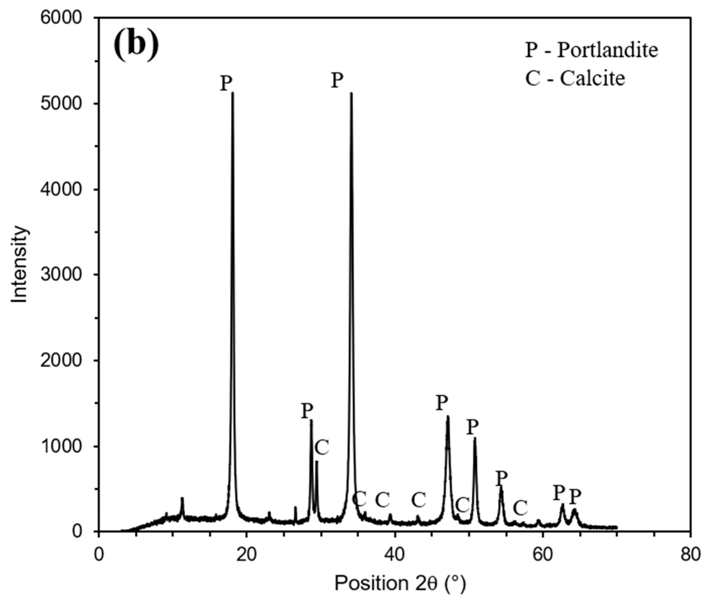 Applsci 11 11286 g002b