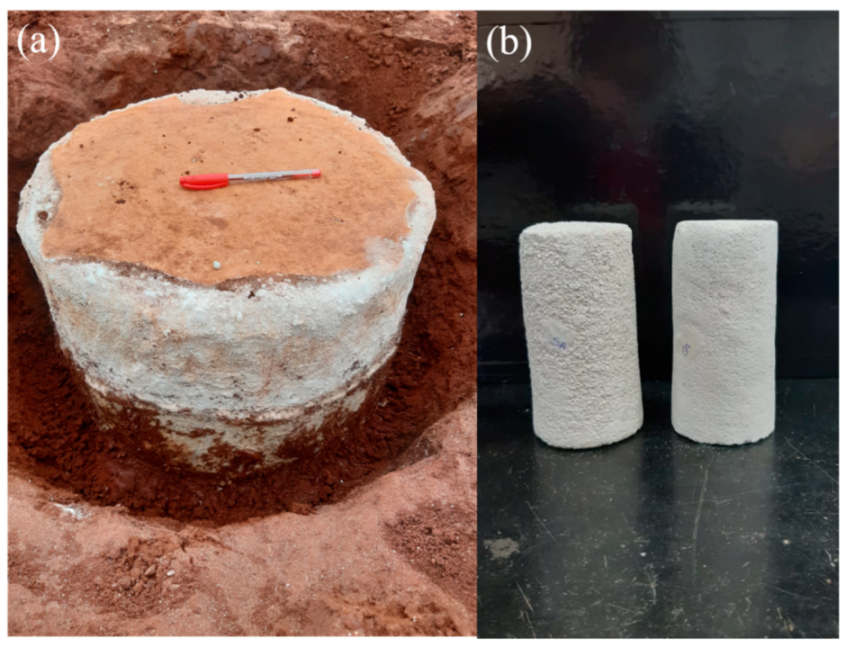 Applsci 11 11286 g004