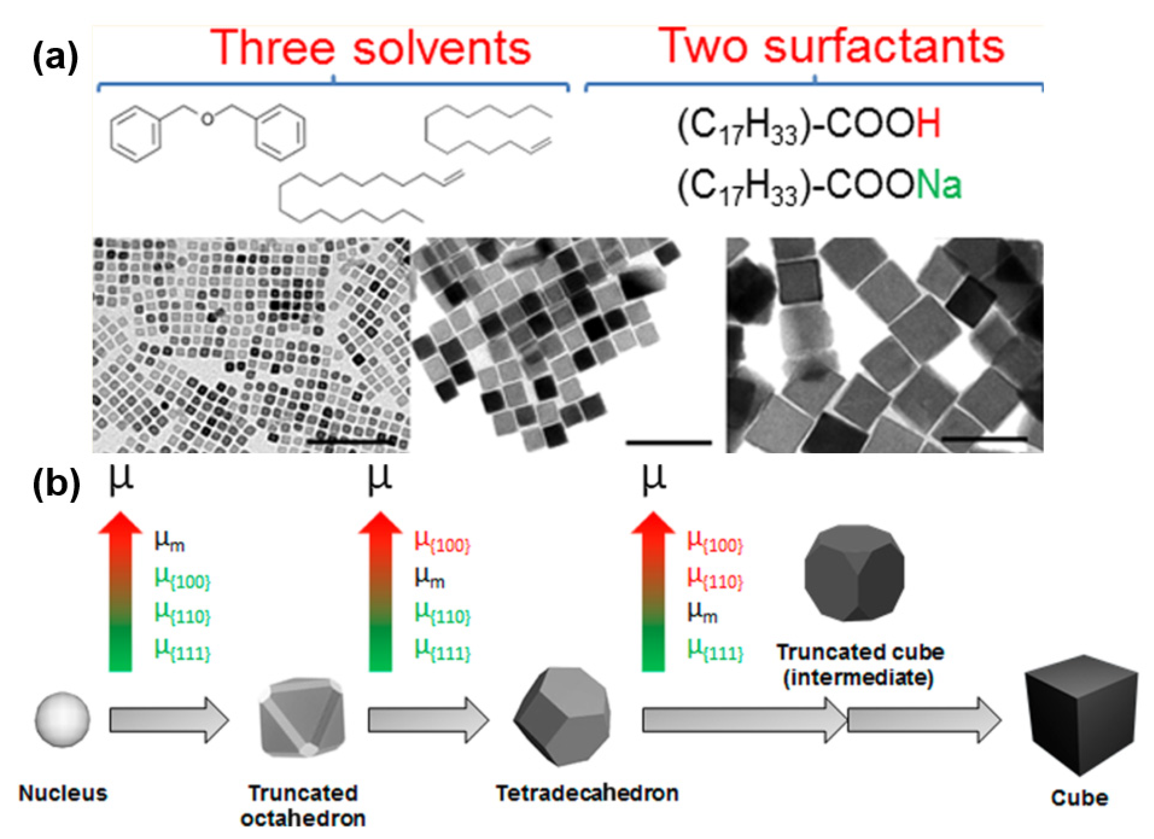 Applied Sciences Free FullText Fe3O4 Nanoparticles Structures