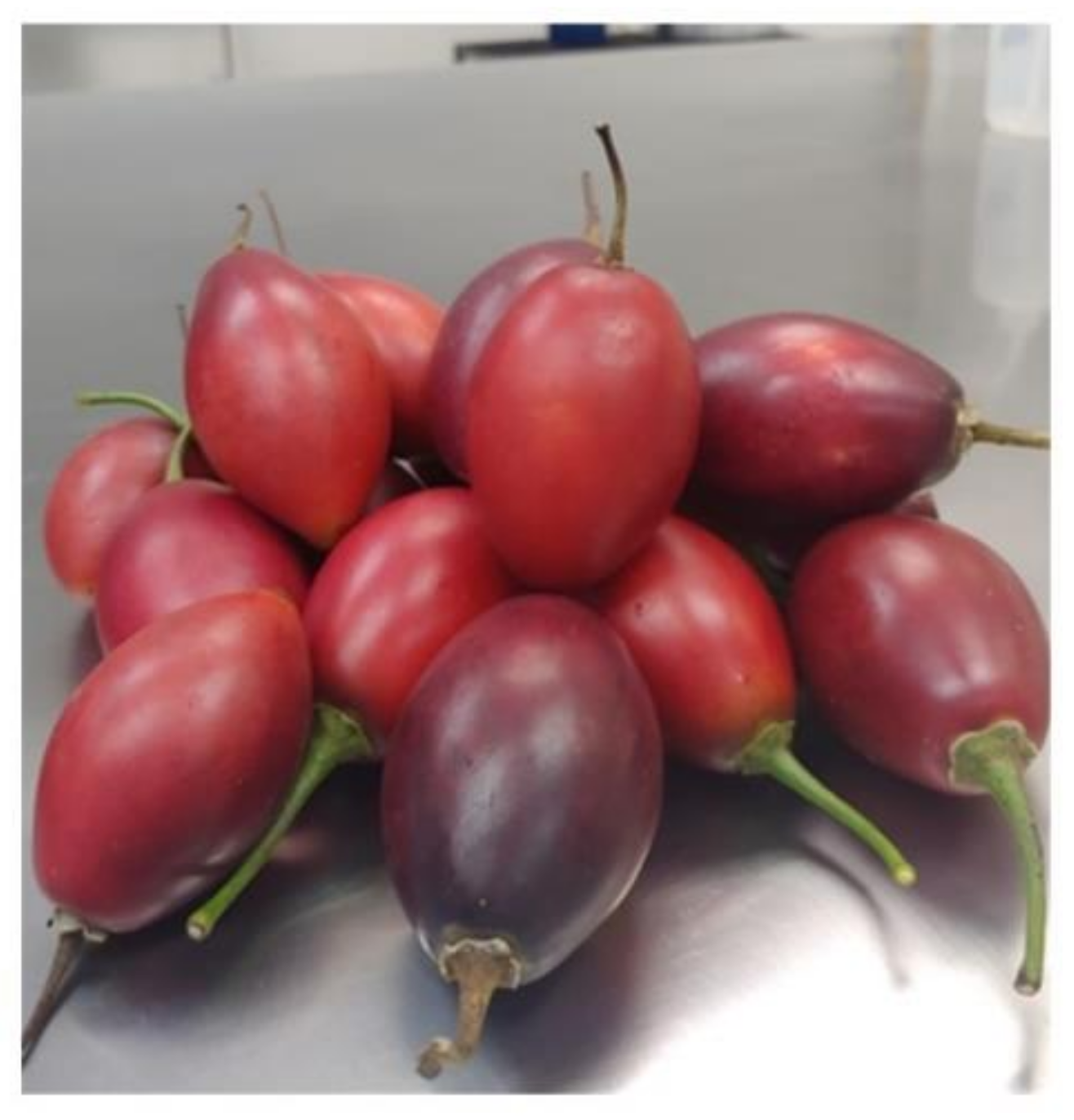 Applsci 11 11322 g001