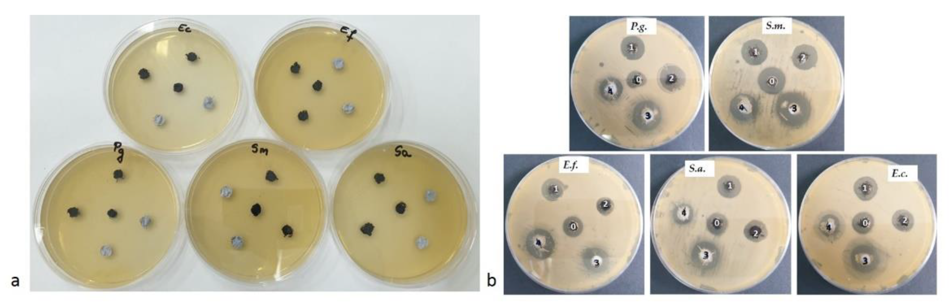 Applsci 11 11330 g008 550