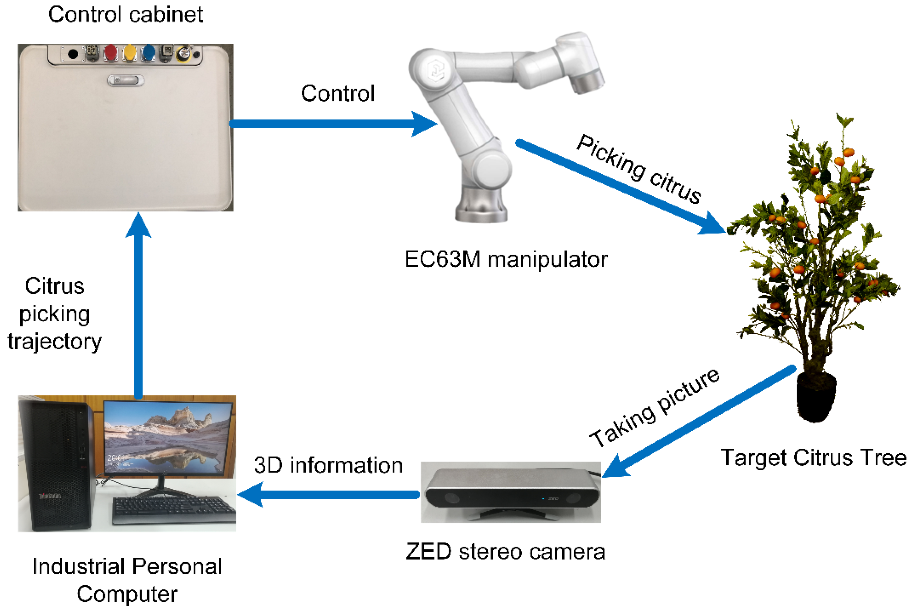 Applsci 11 11336 g002 550