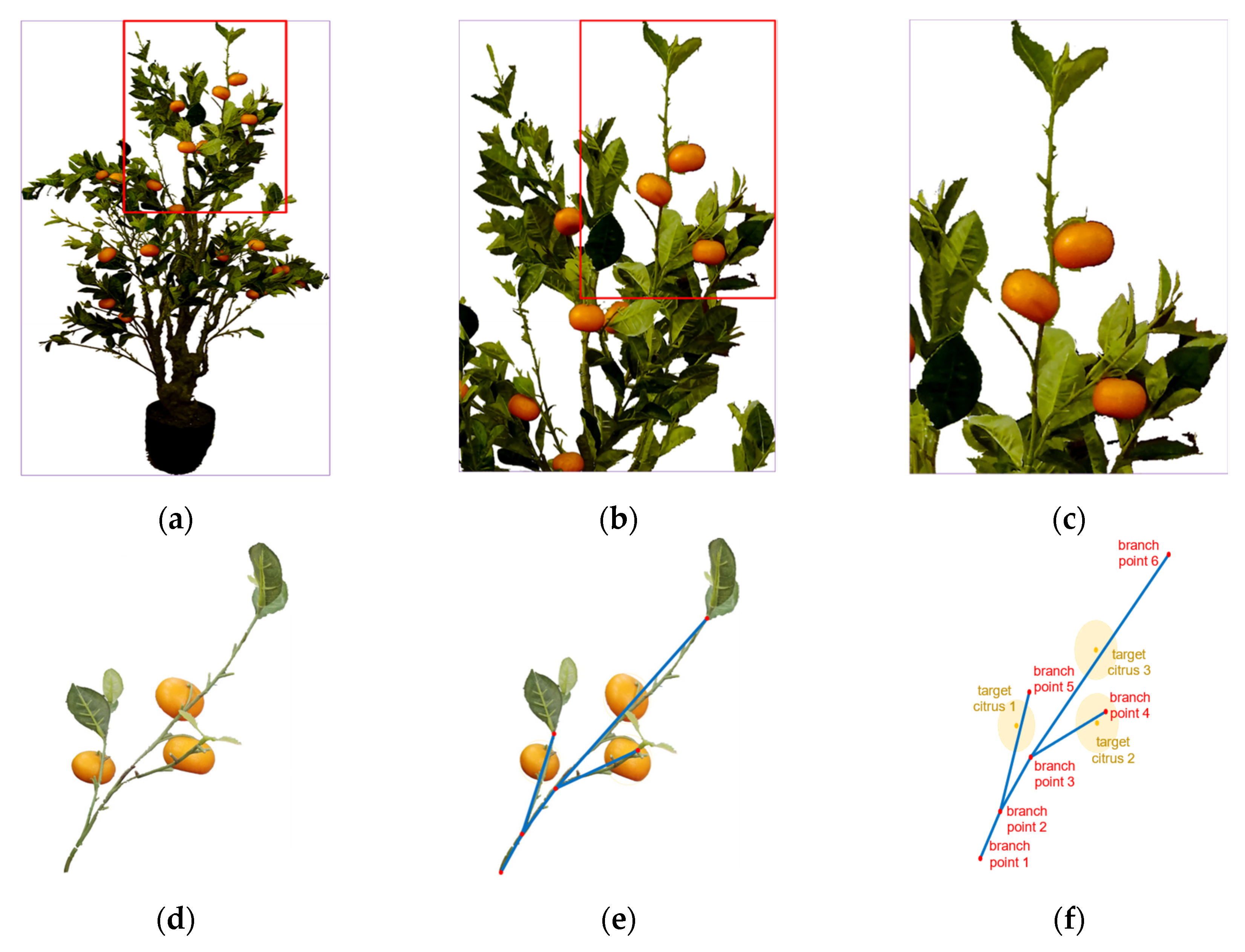 Applsci 11 11336 g015 550