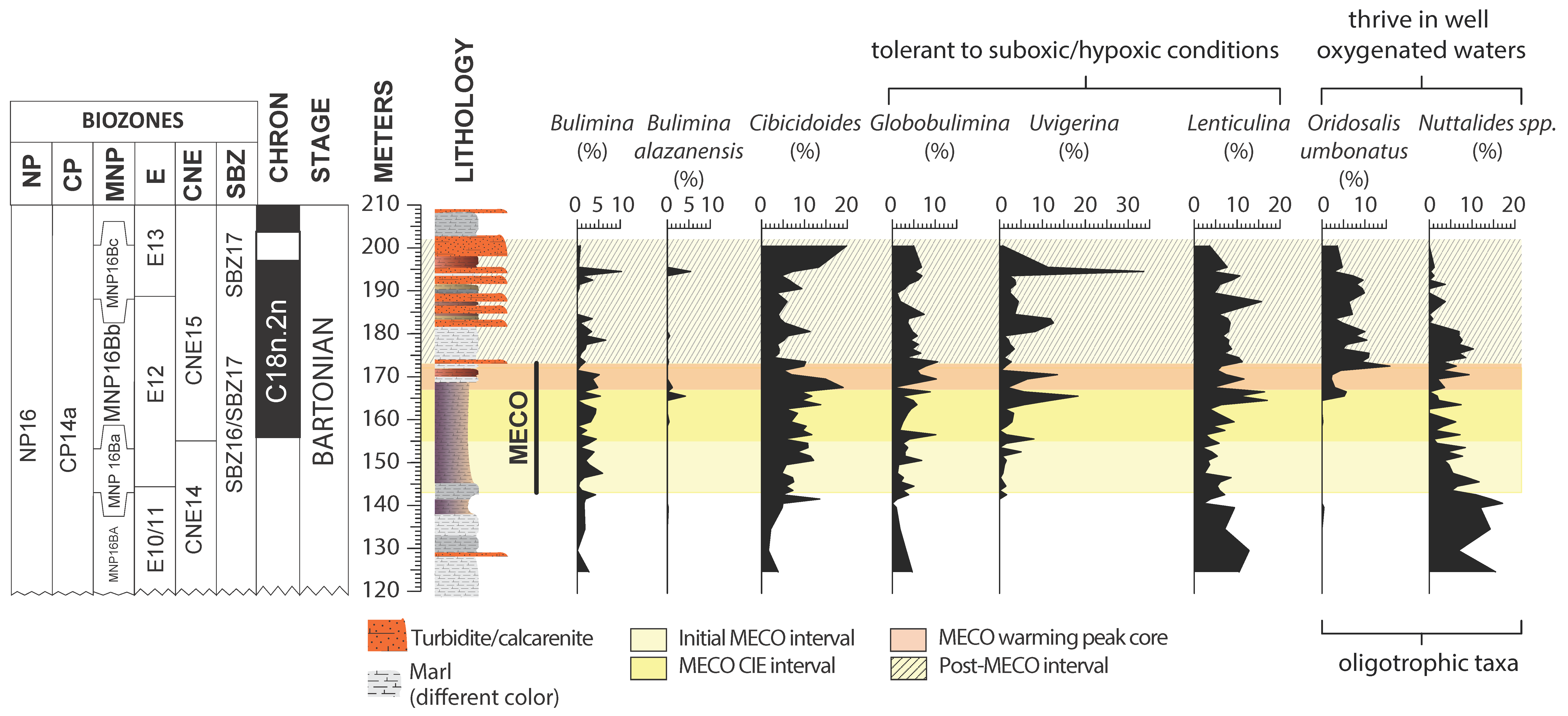 Applsci 11 11339 g004