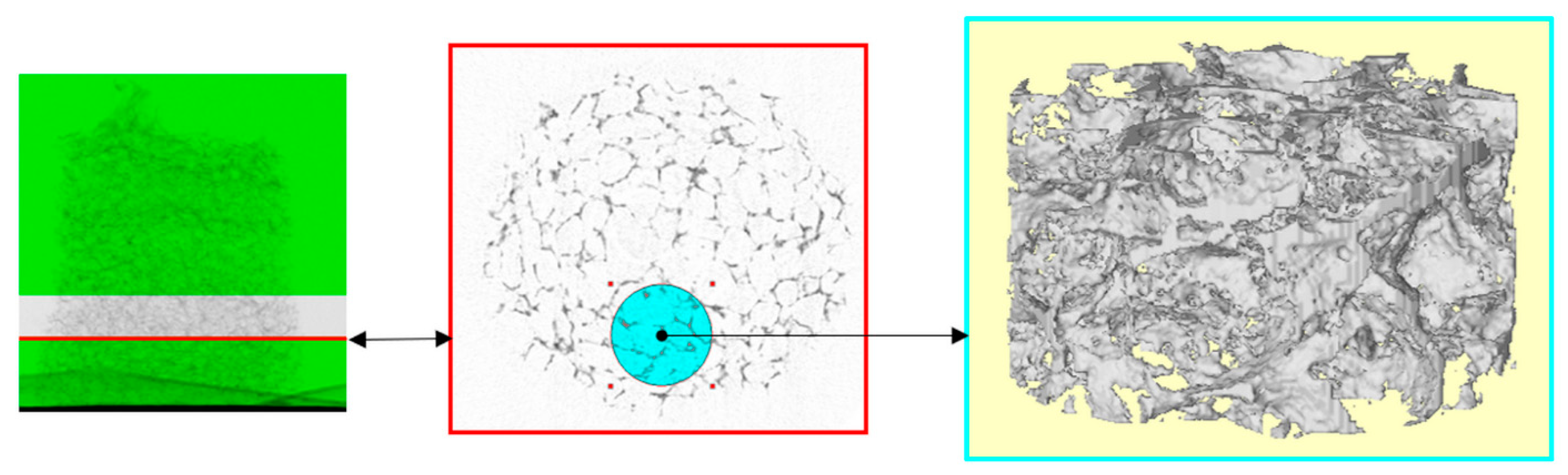 Applsci 11 11345 g002