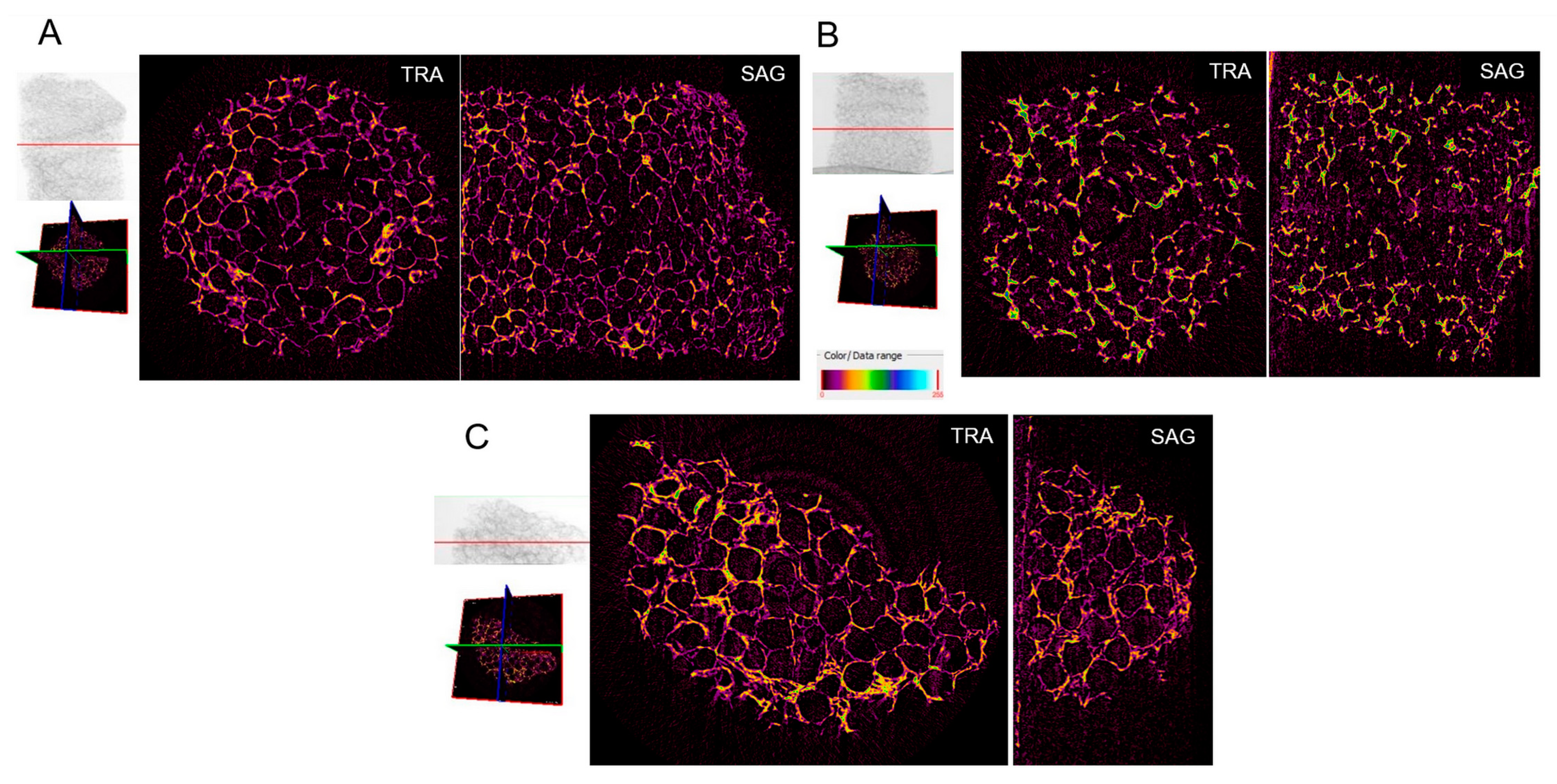 Applsci 11 11345 g003