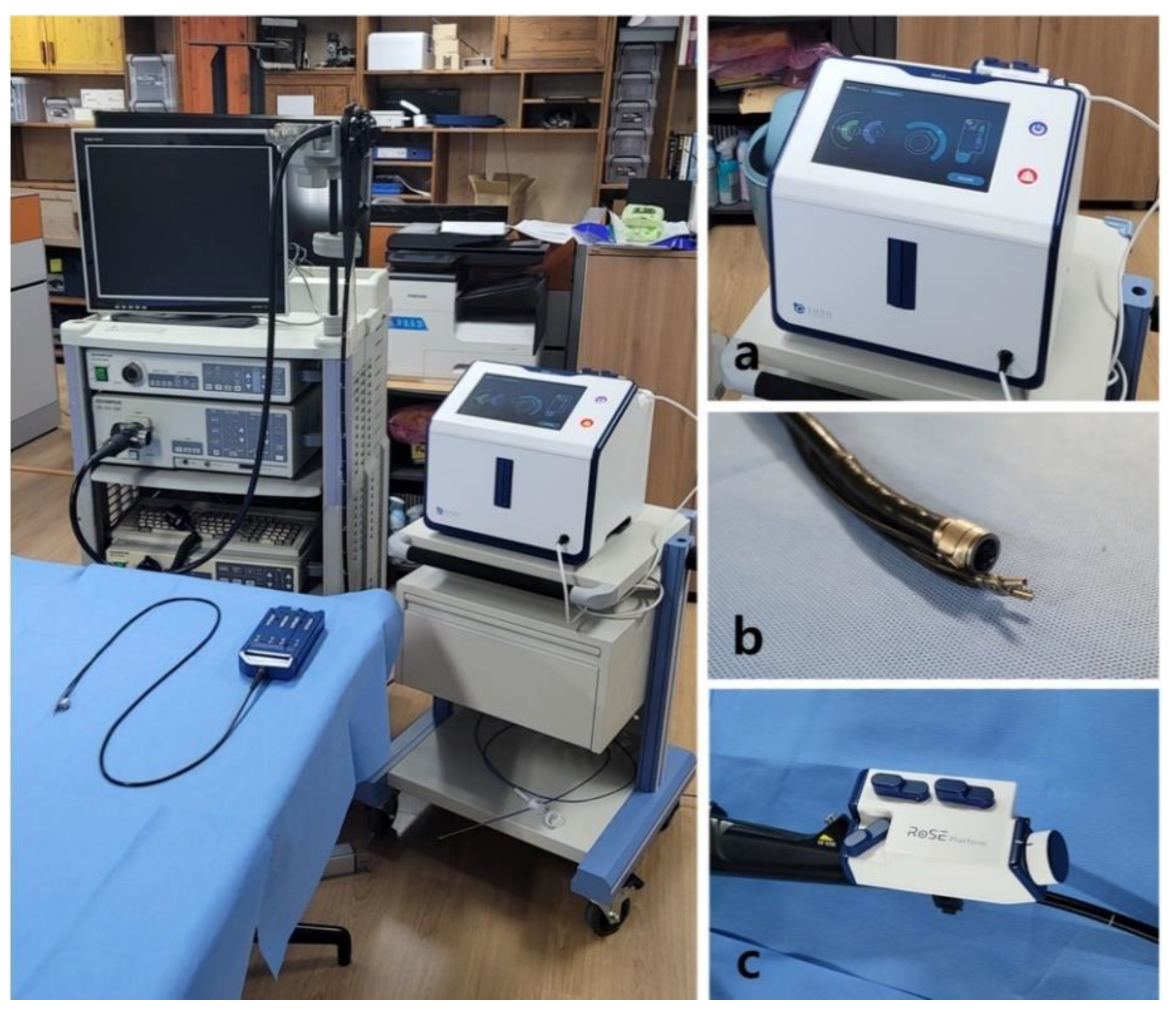 Applsci 11 11351 g005 550