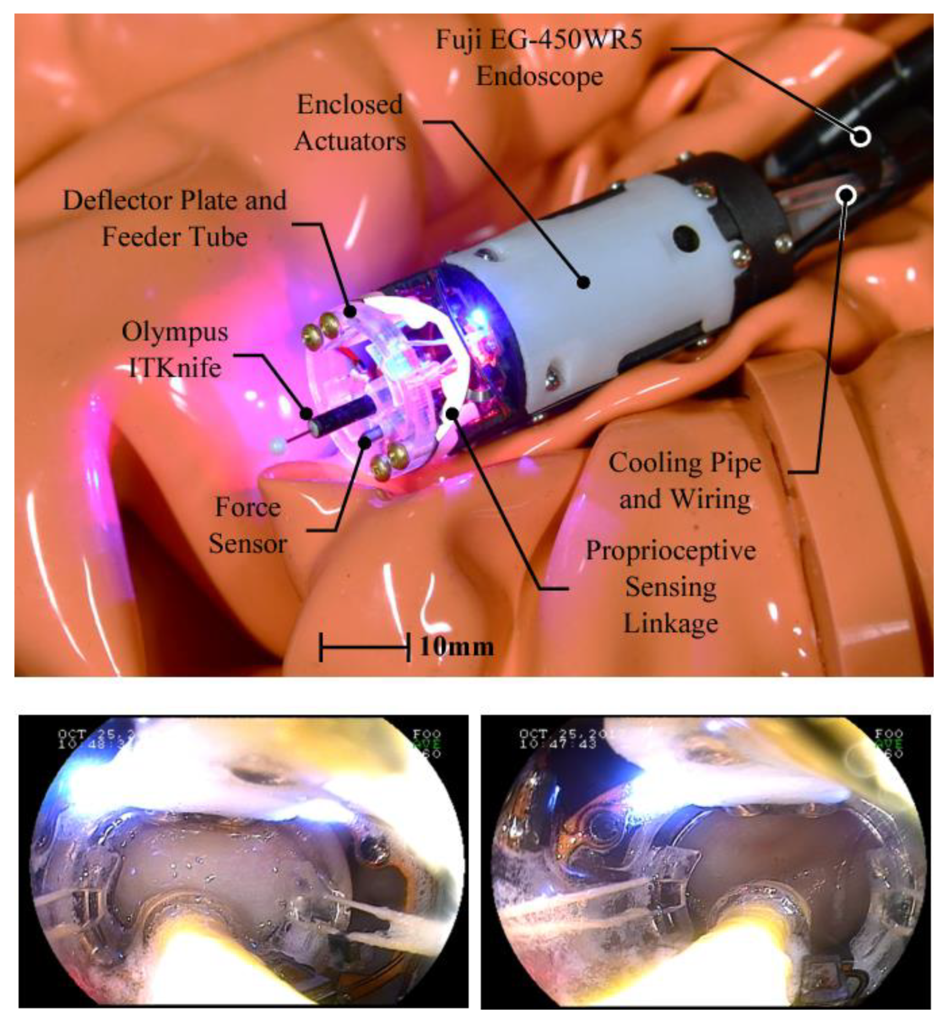 Applsci 11 11351 g006 550