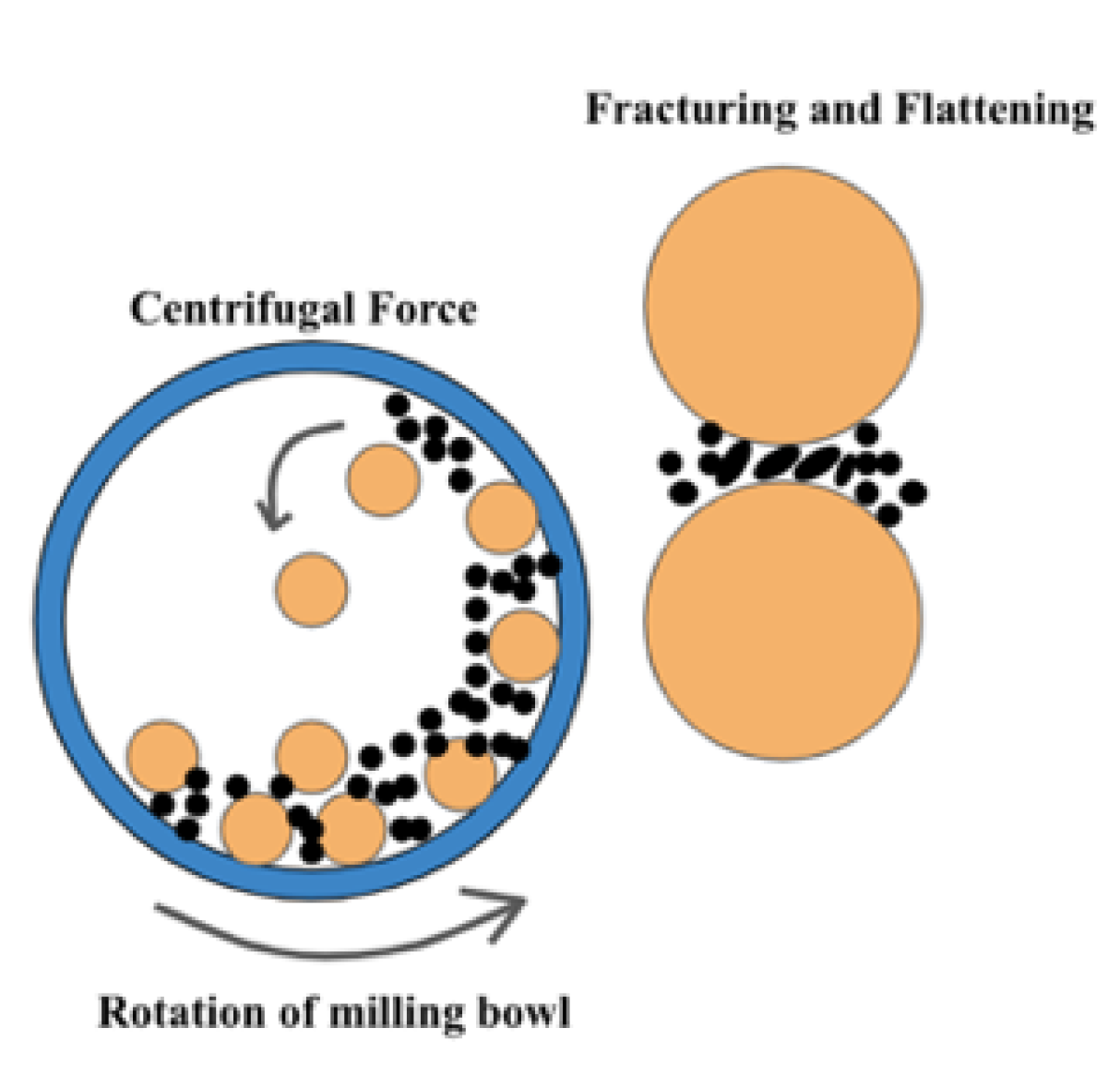 Applsci 11 11369 g007