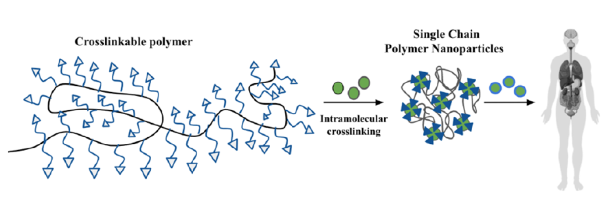 Applsci 11 11369 g009