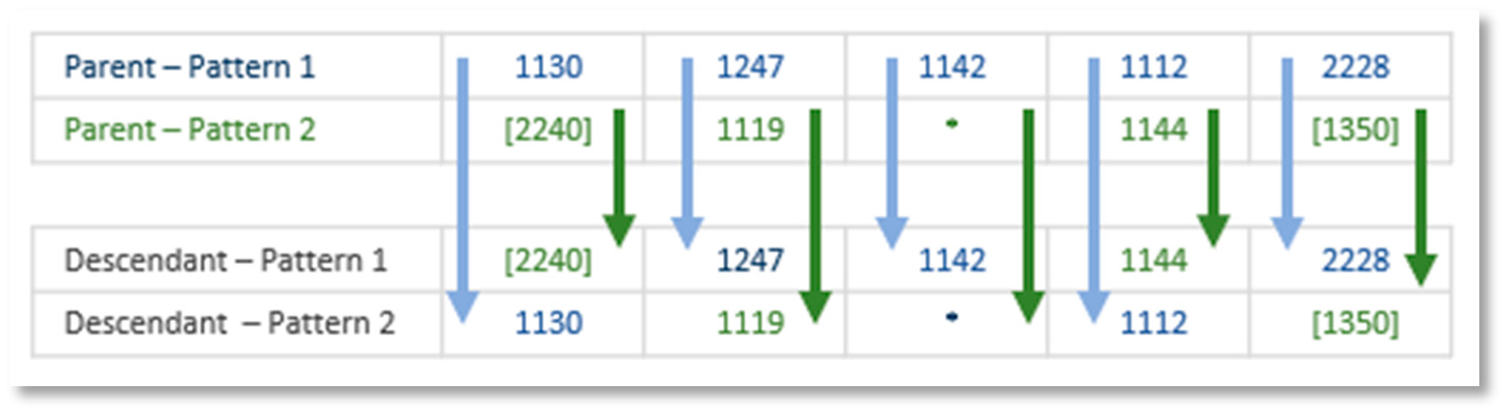 Applsci 11 11378 g012