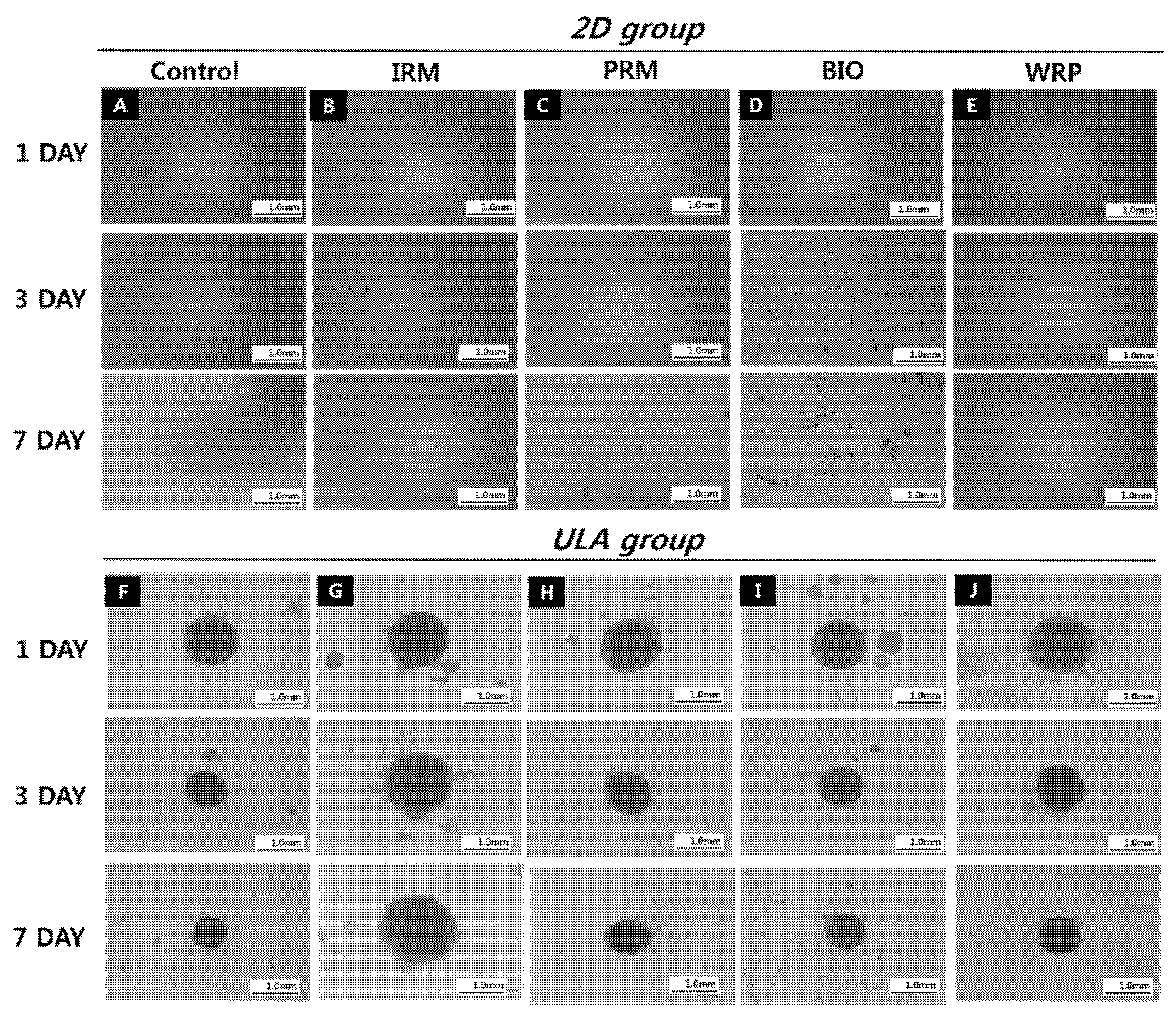 Applsci 11 11381 g001 550