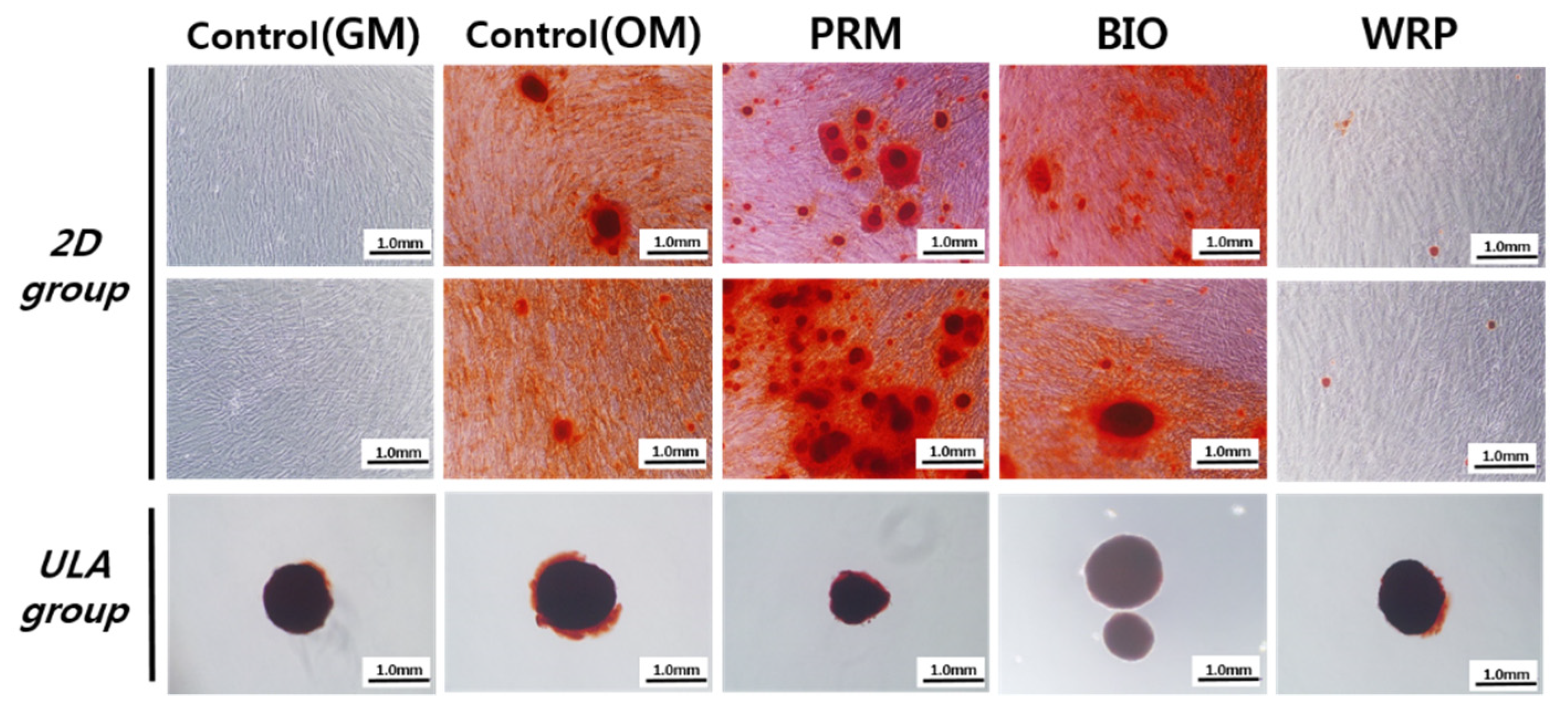 Applsci 11 11381 g002 550