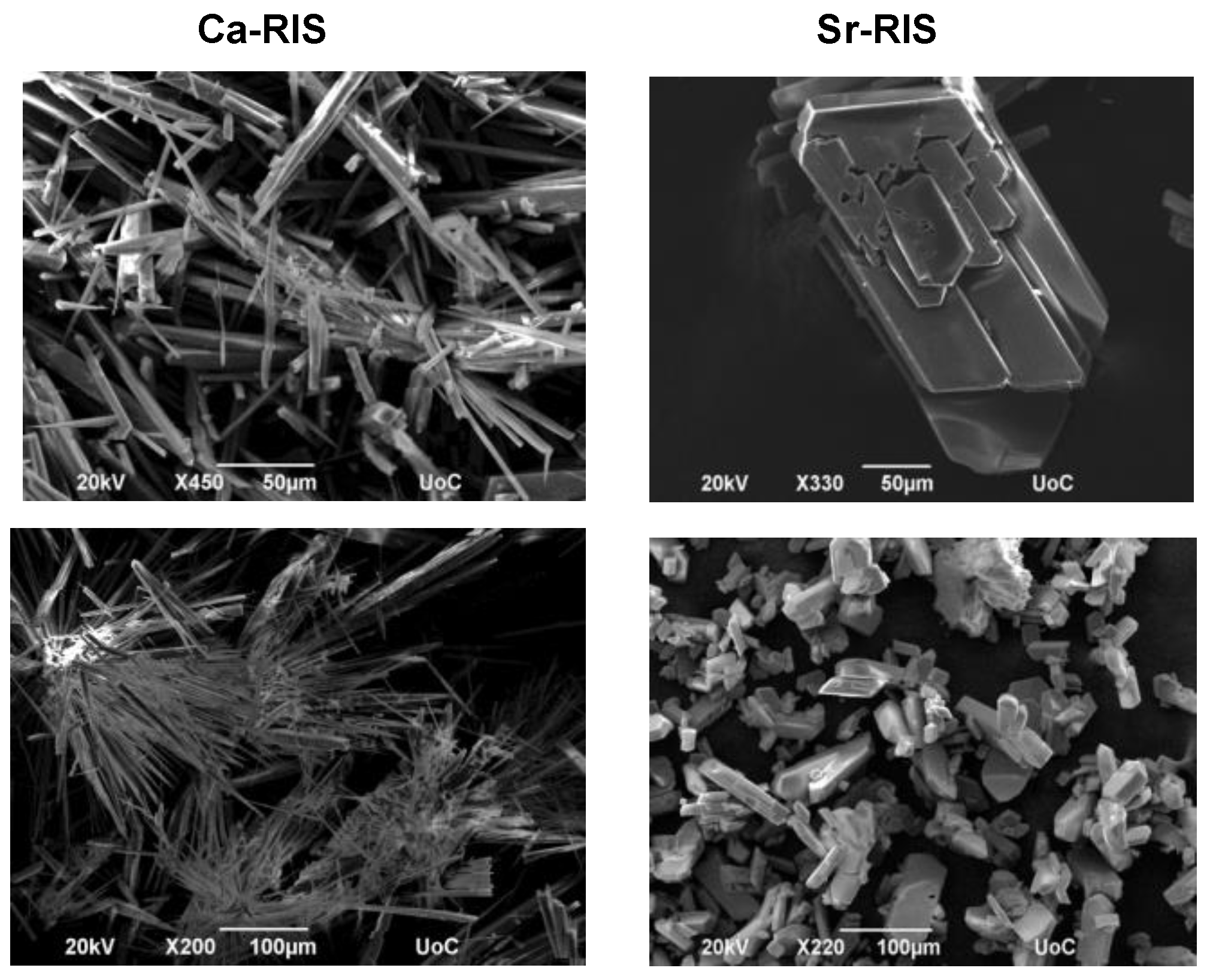 Applsci 11 11383 g002