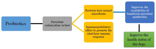 Probiotics for sales giardia in dogs