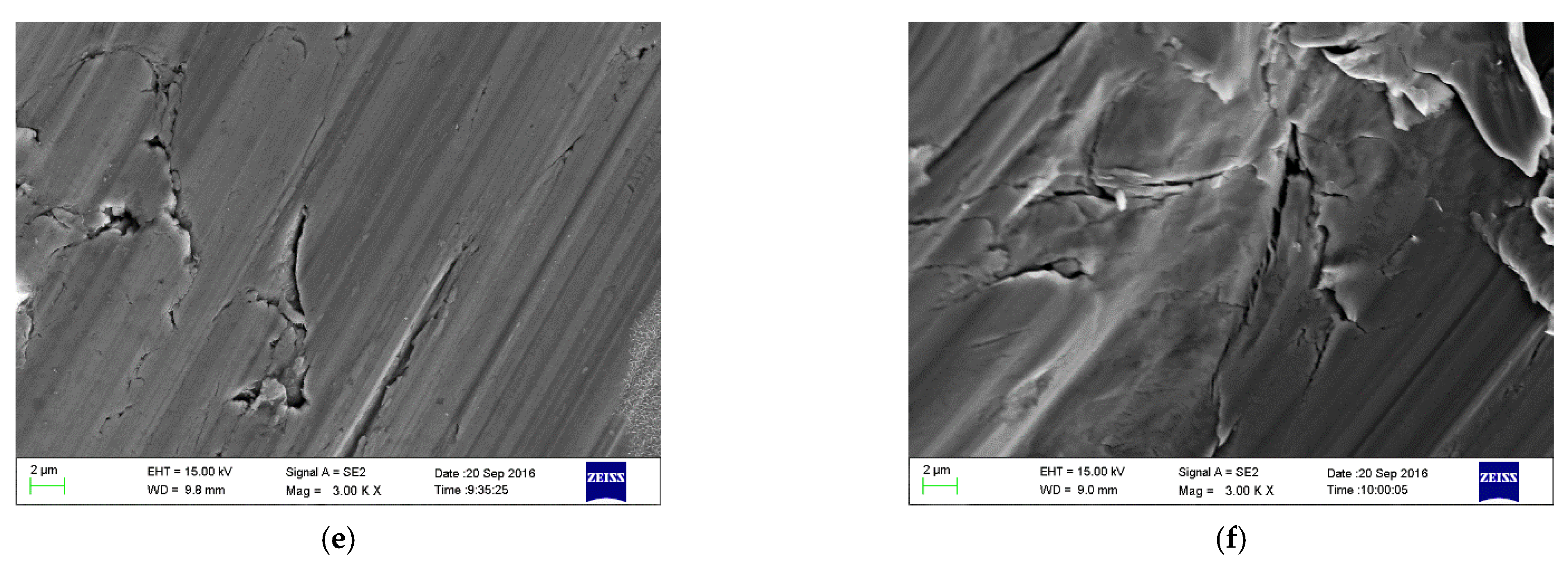 Applsci 11 11385 g005b