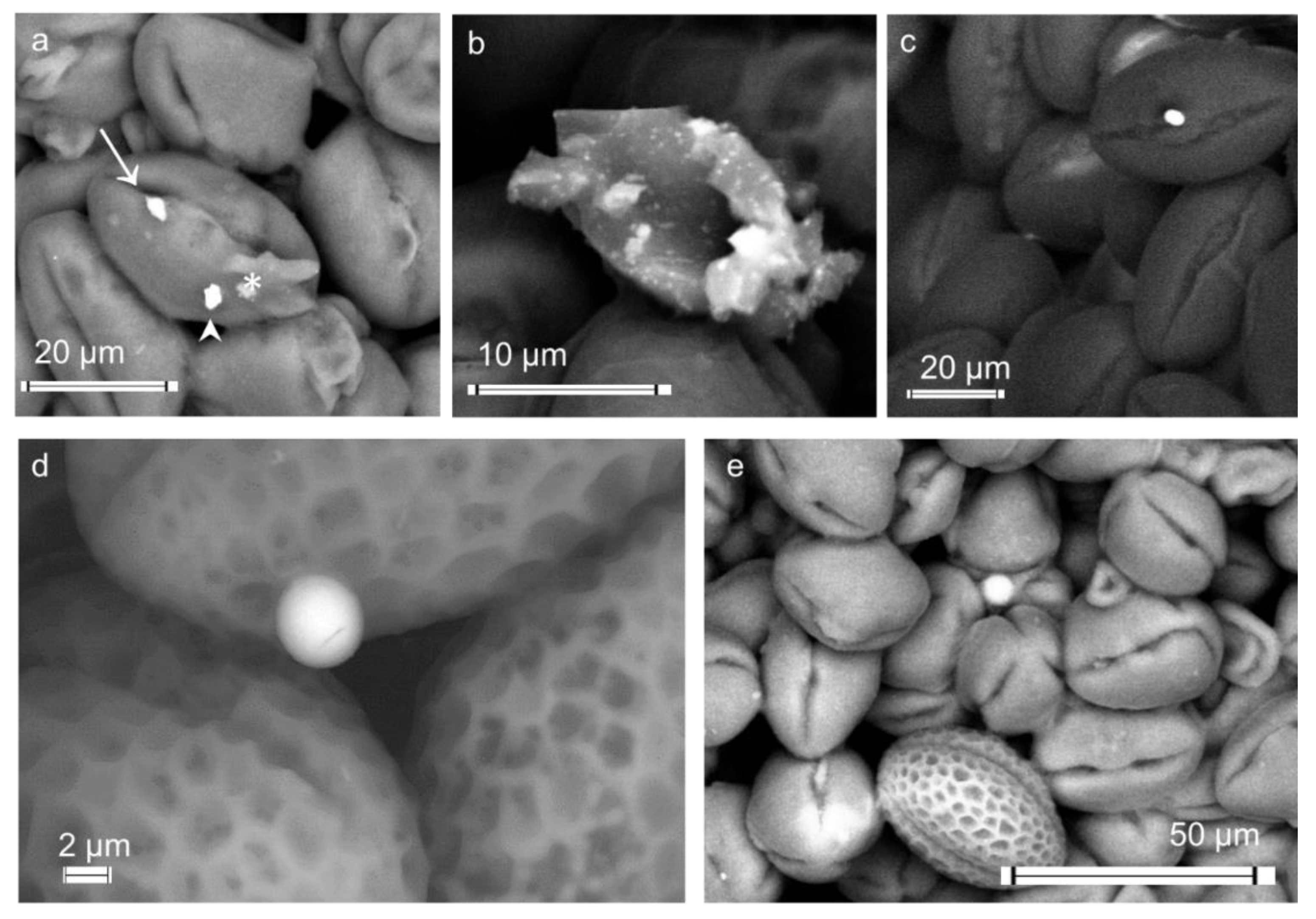 Applsci 11 11390 g005