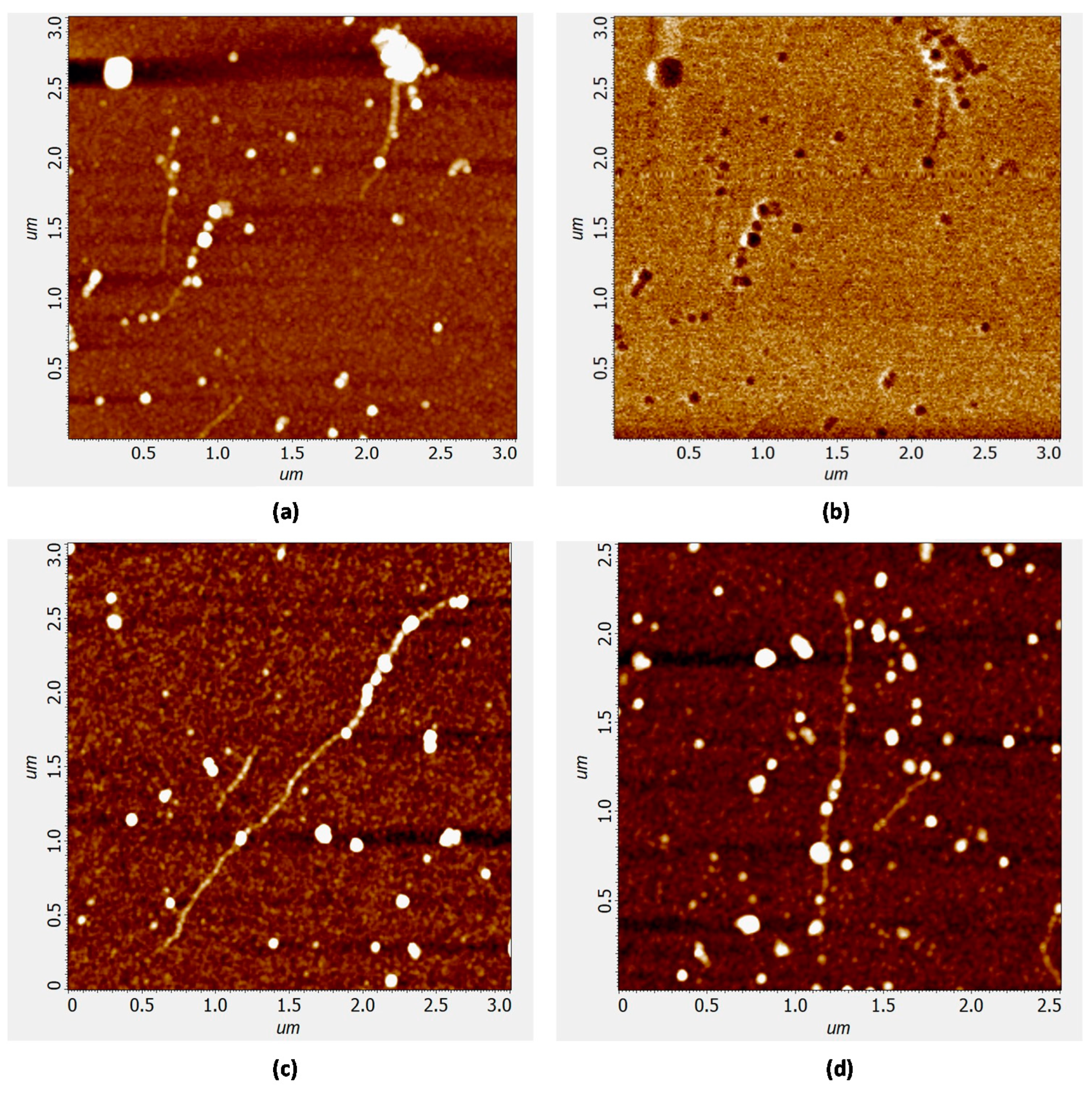 Applsci 11 11391 g003 550