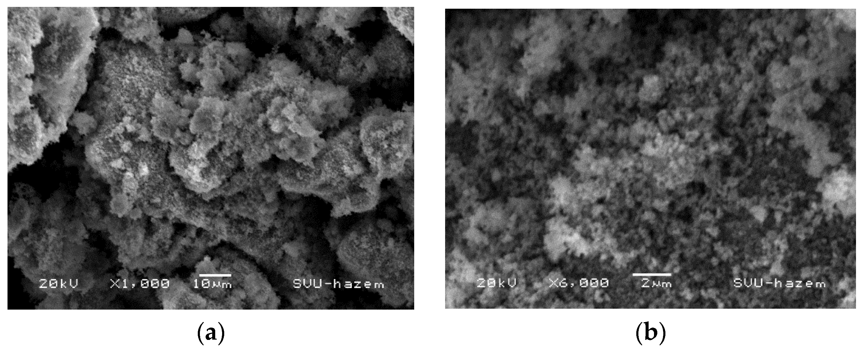 Applsci 11 11394 g003