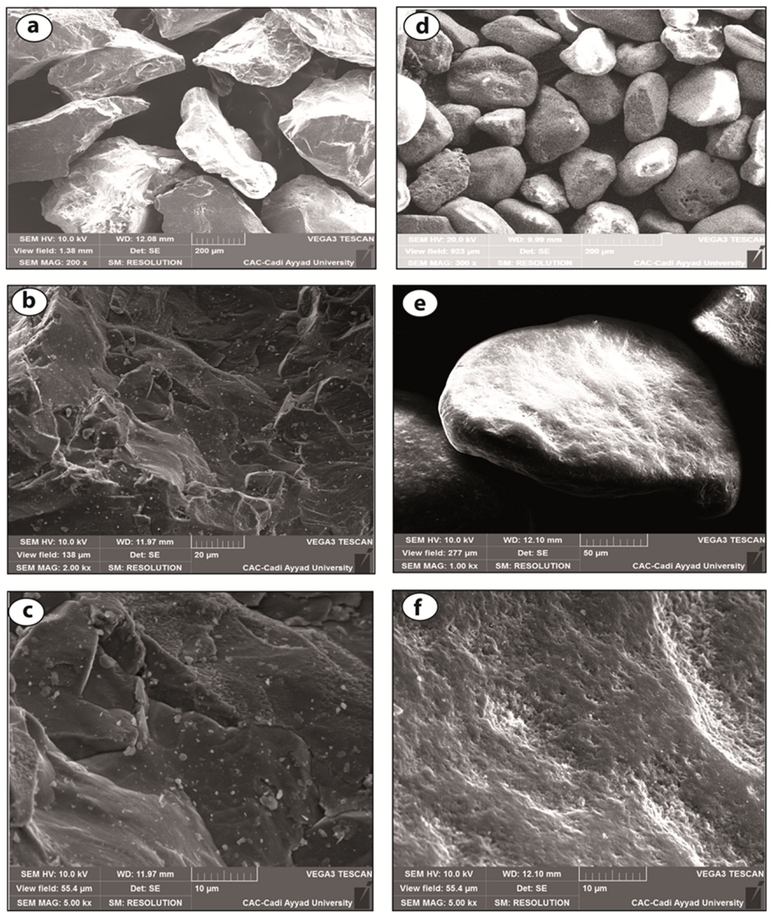 Applsci 11 11395 g002