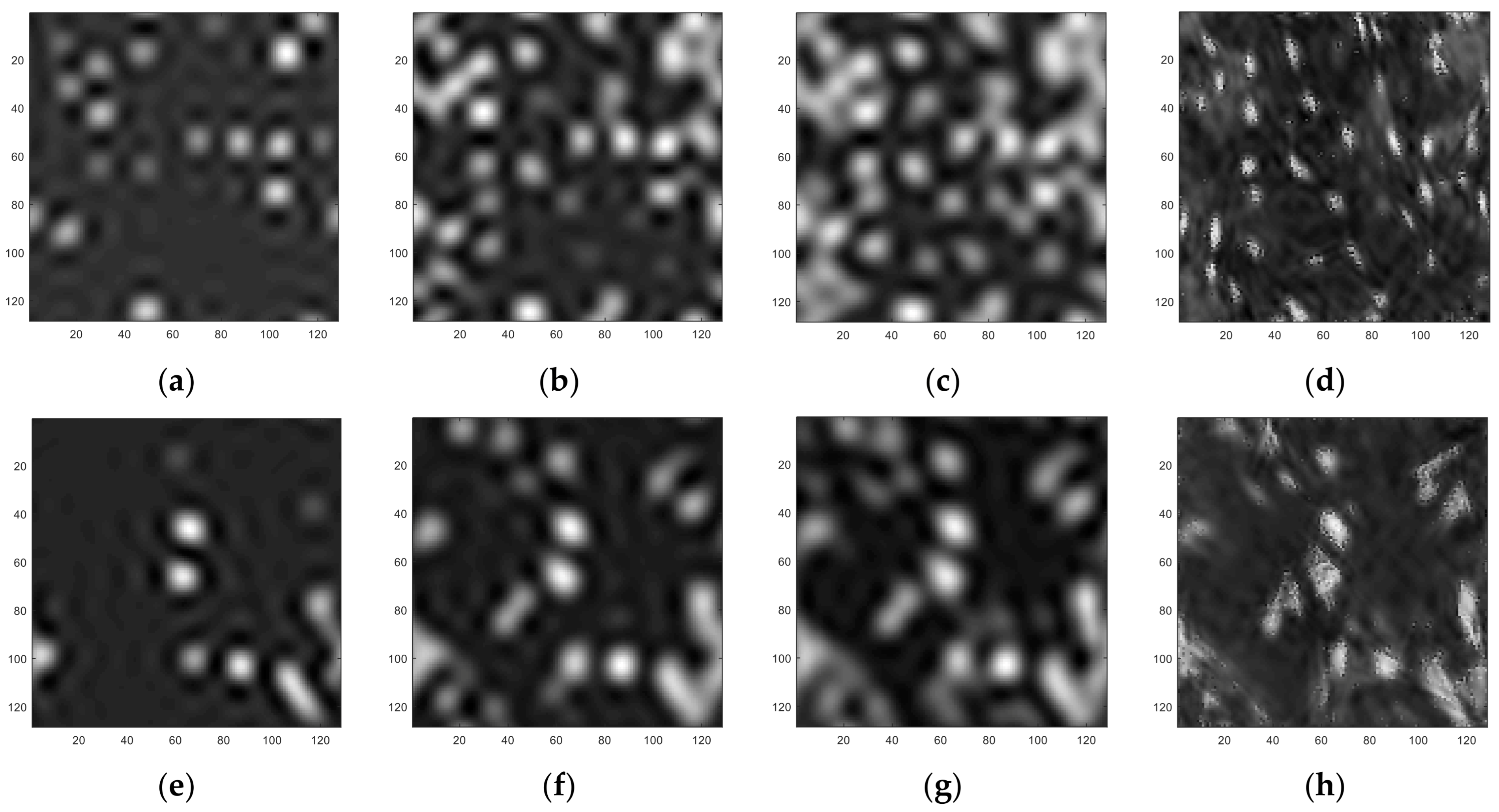 Applsci 11 11409 g008