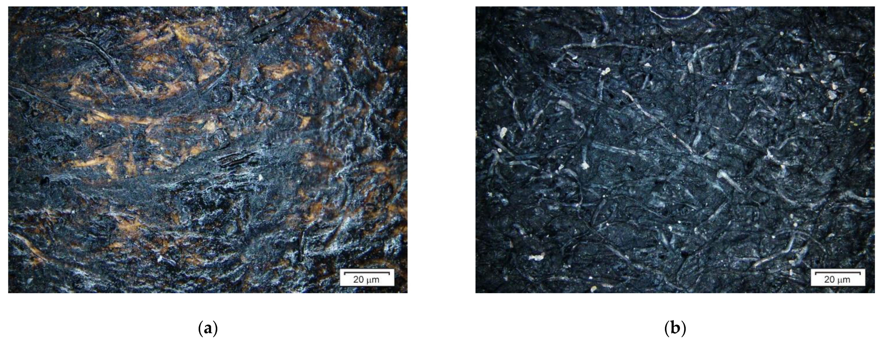 Applsci 11 11414 g001 550