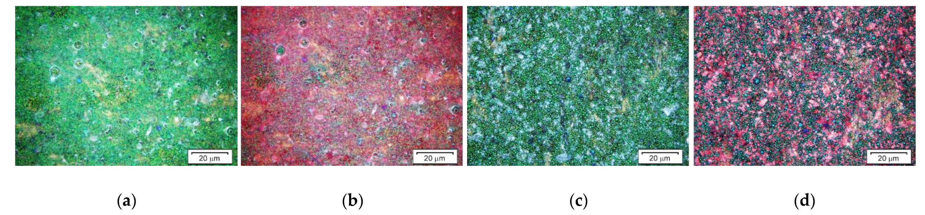 Applsci 11 11414 g012 550