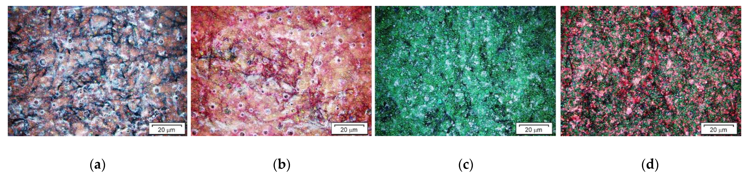 Applsci 11 11414 g013 550