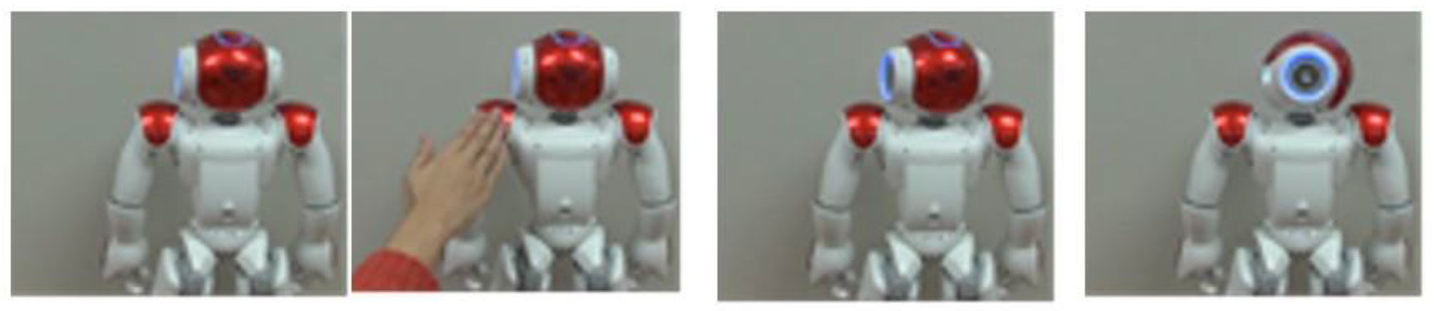 Applsci 11 11424 g003 550