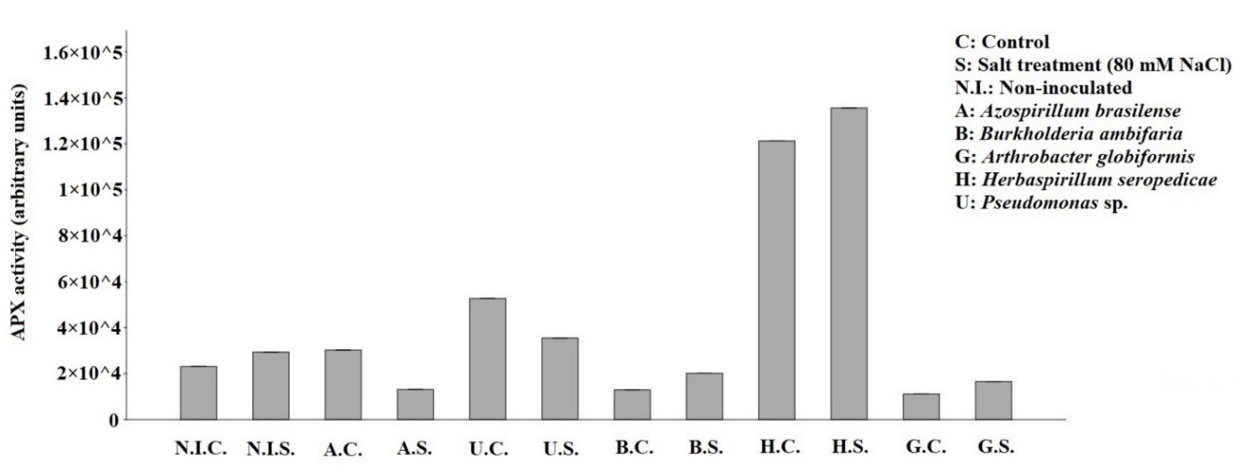 Applsci 11 11442 g005