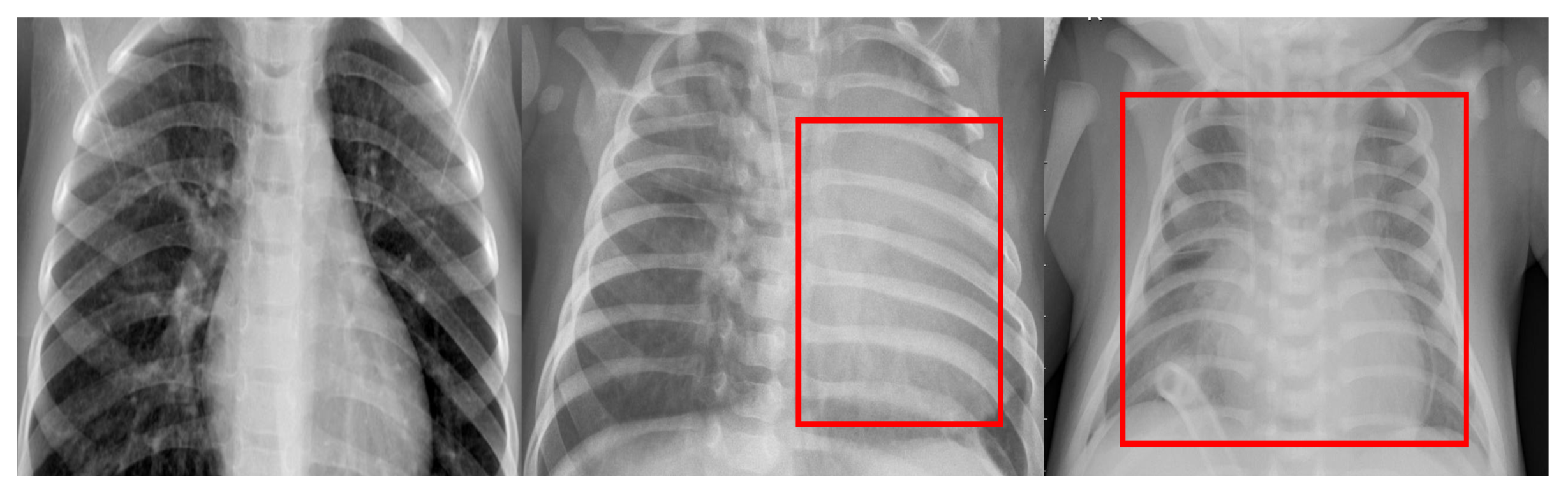 Applsci 11 11461 g001