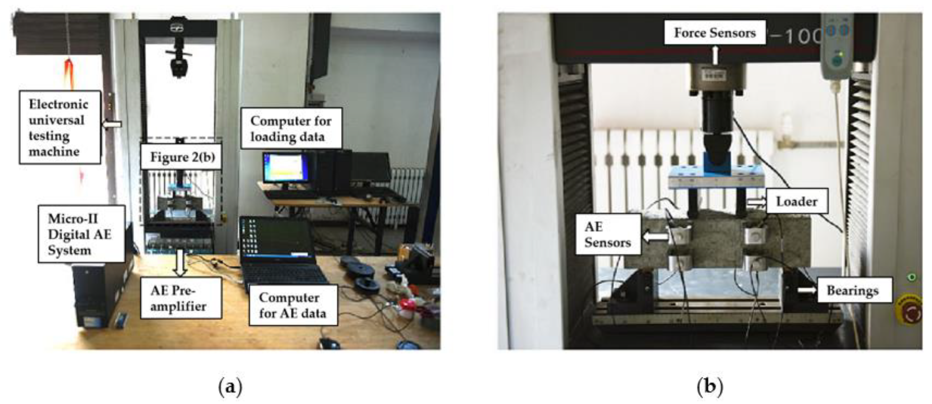 Applsci 11 11476 g002