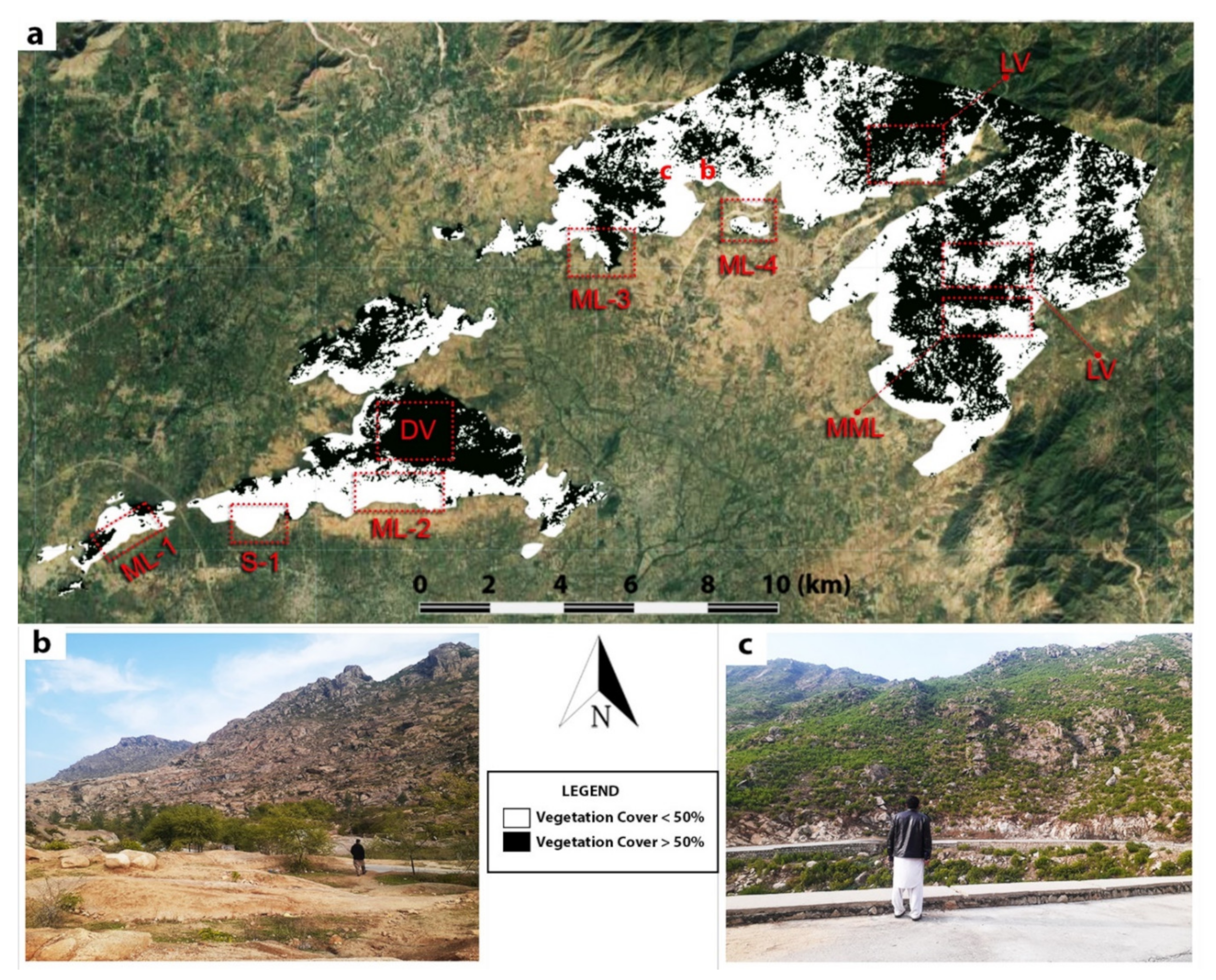 Applsci 11 11486 g011