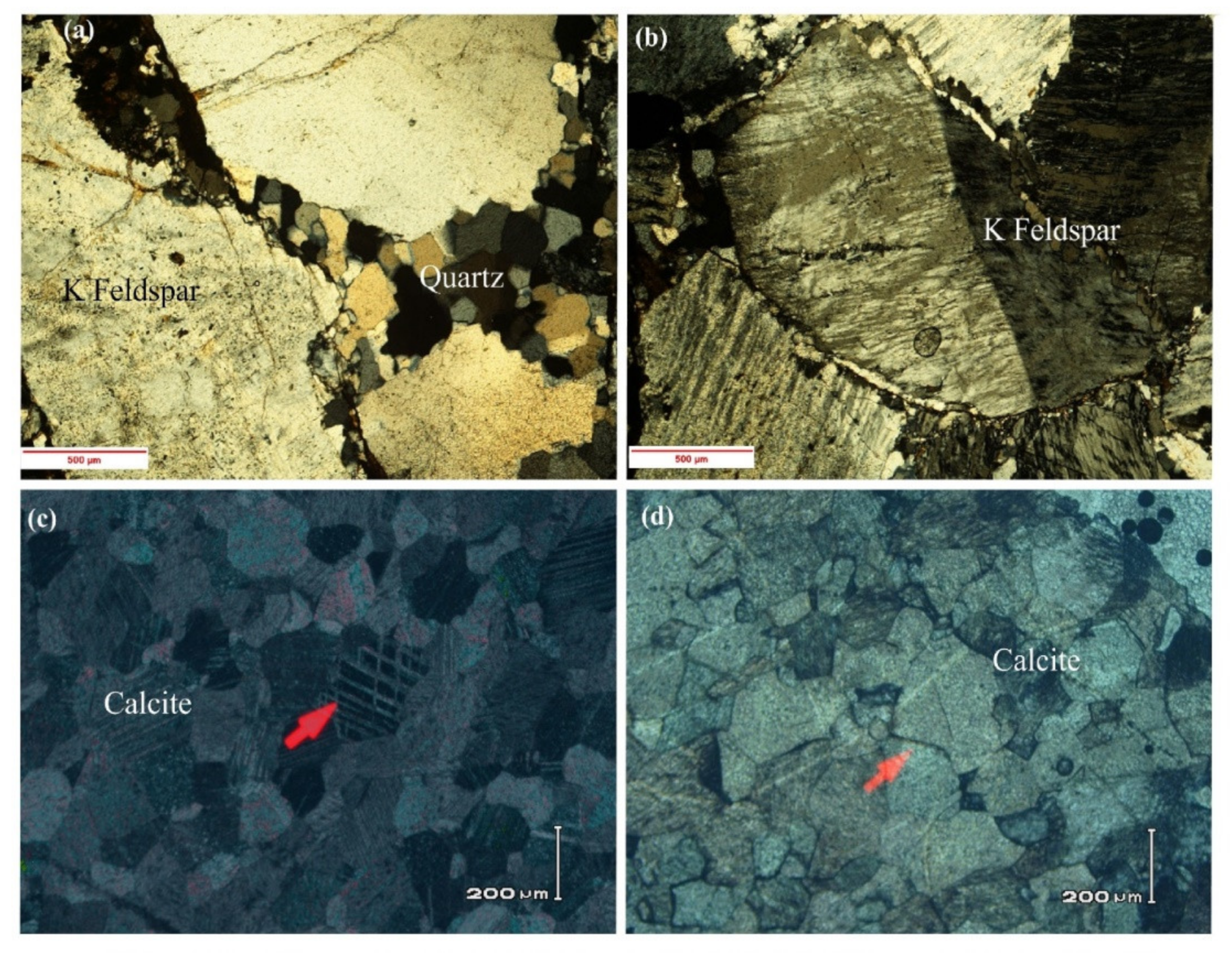 Applsci 11 11486 g013