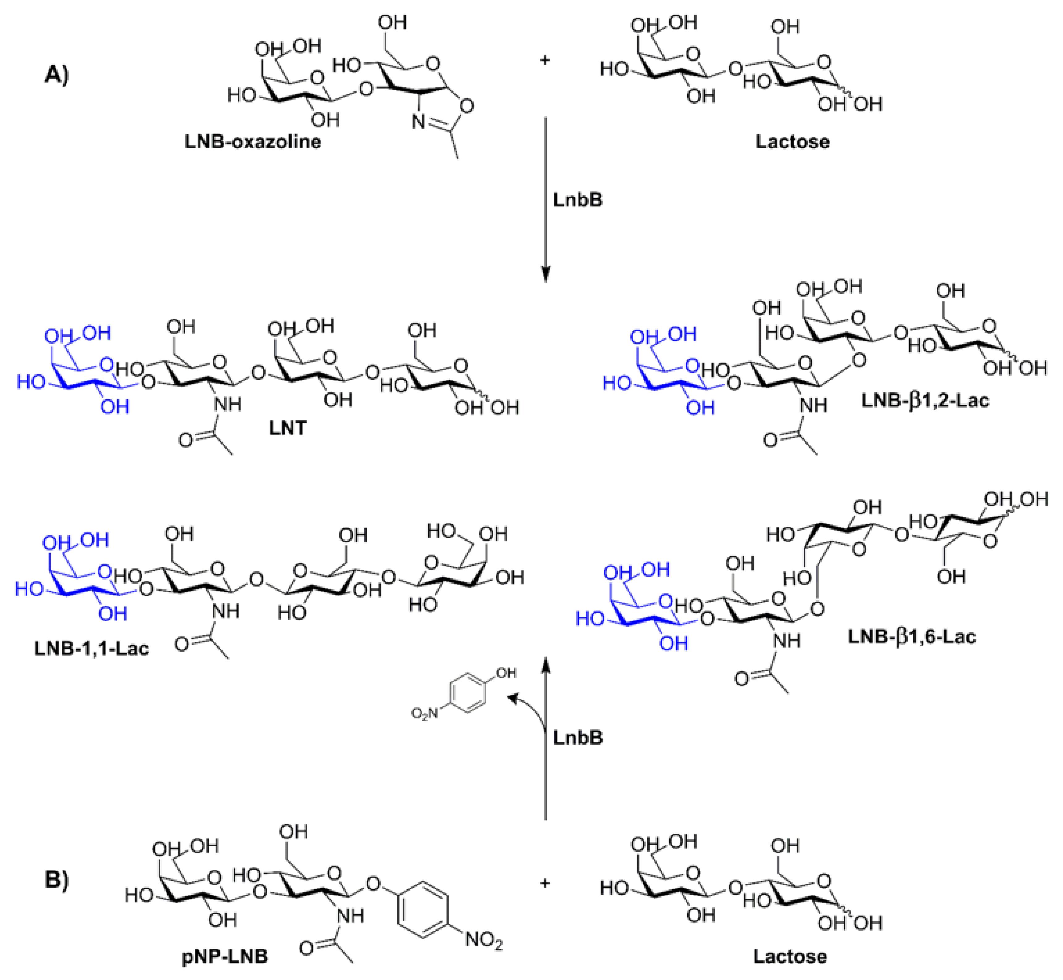 Applsci 11 11493 g001