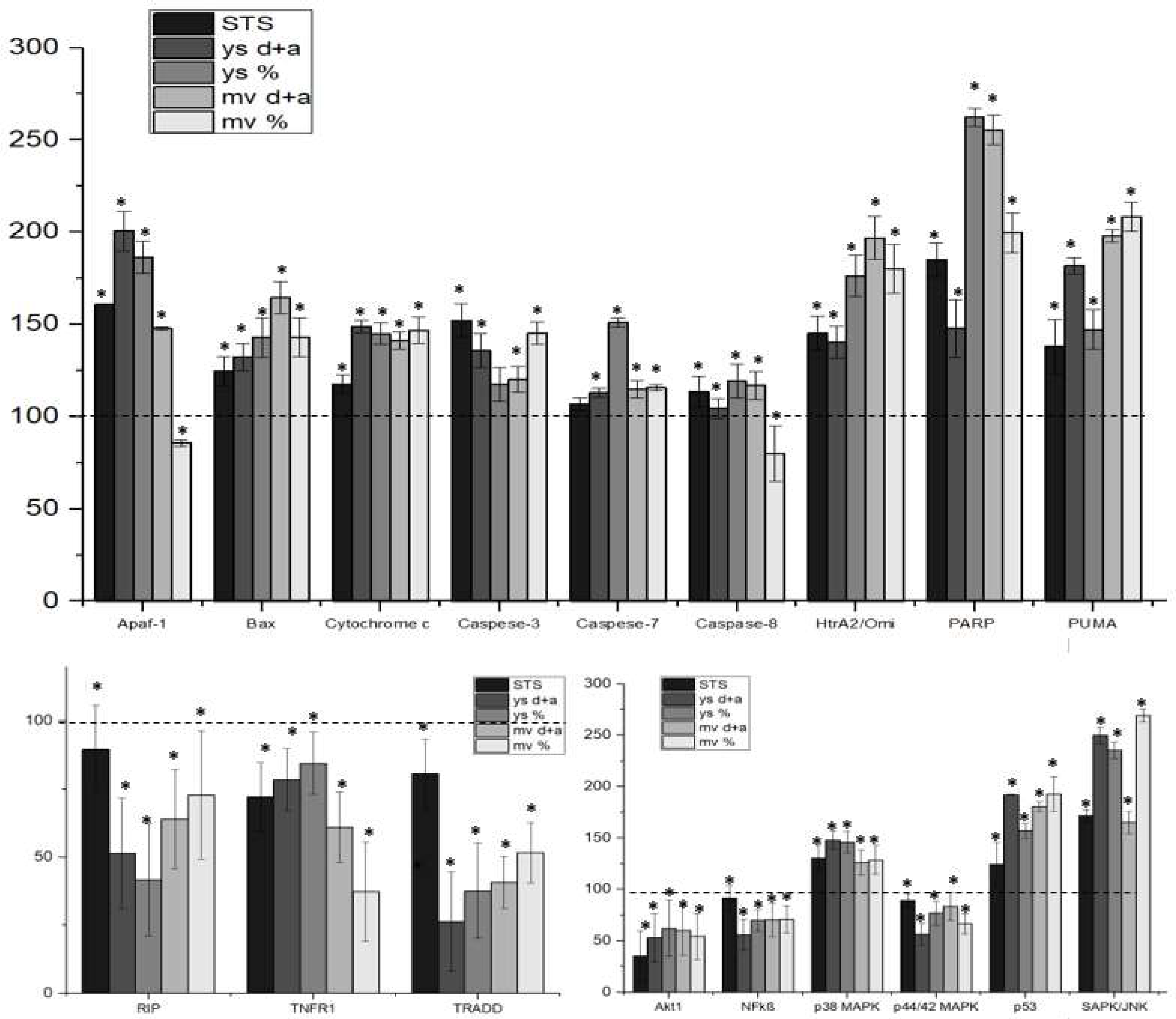 Applsci 11 11507 g004