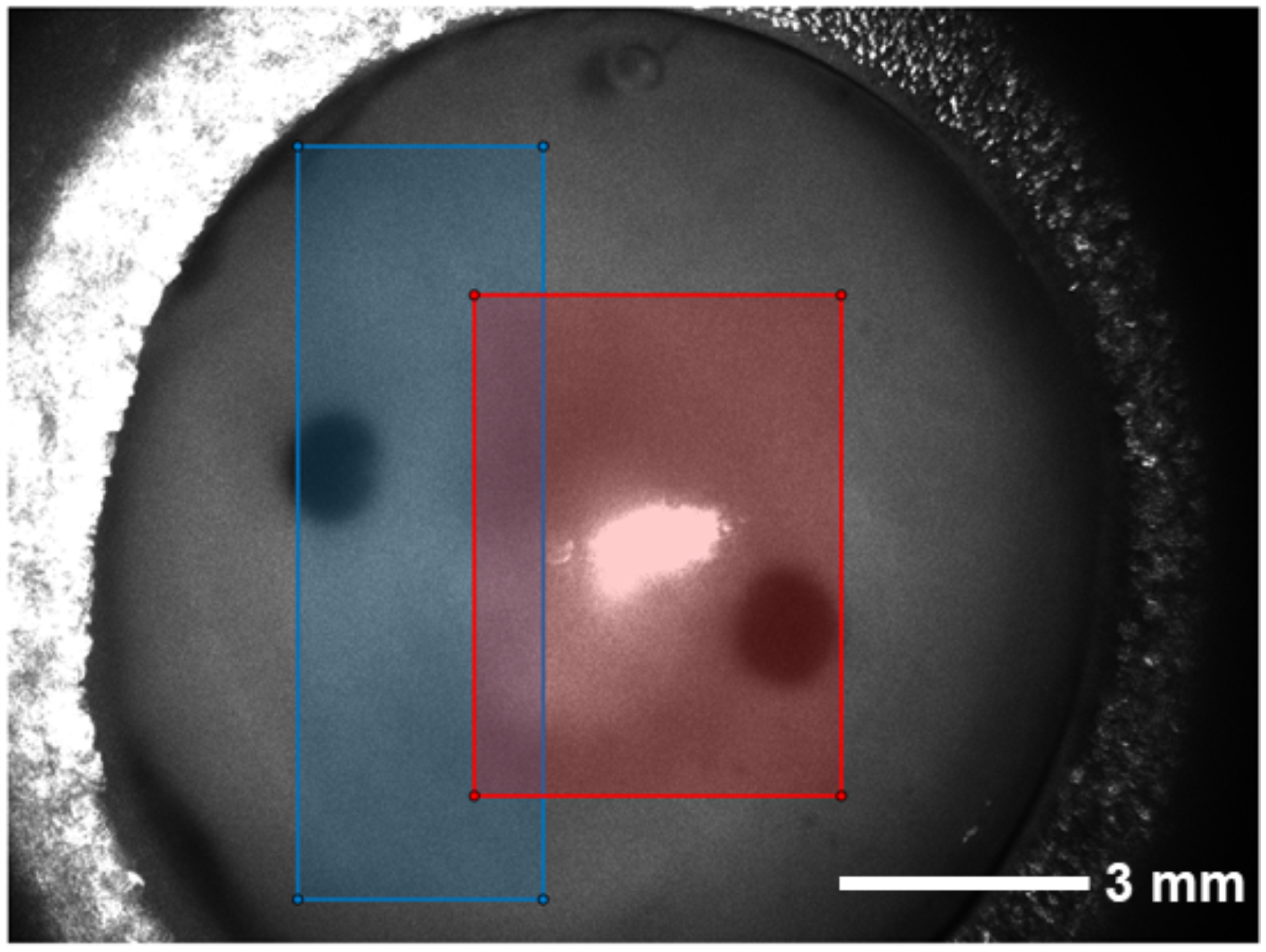 Applsci 11 11515 g004