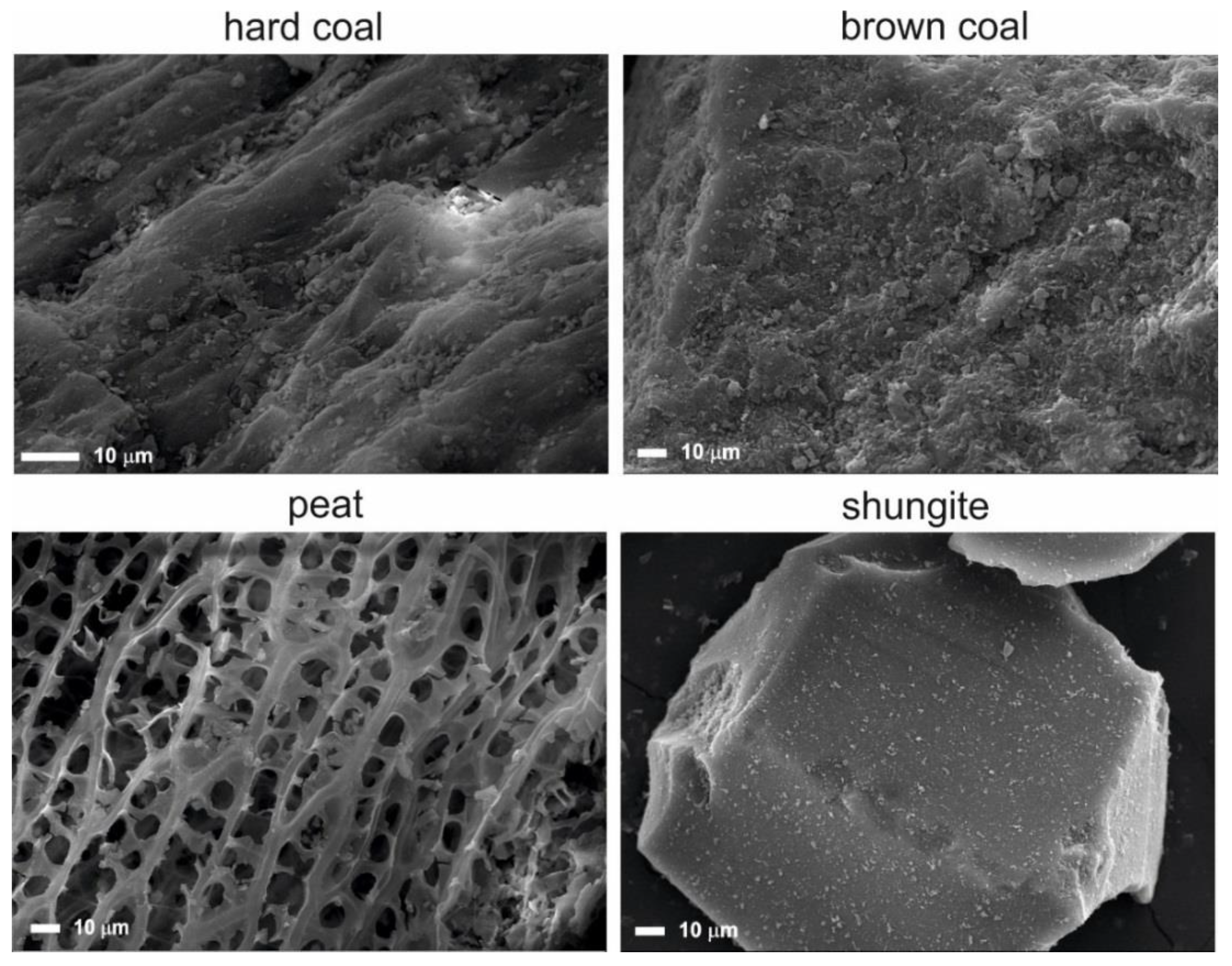 Applsci 11 11531 g003