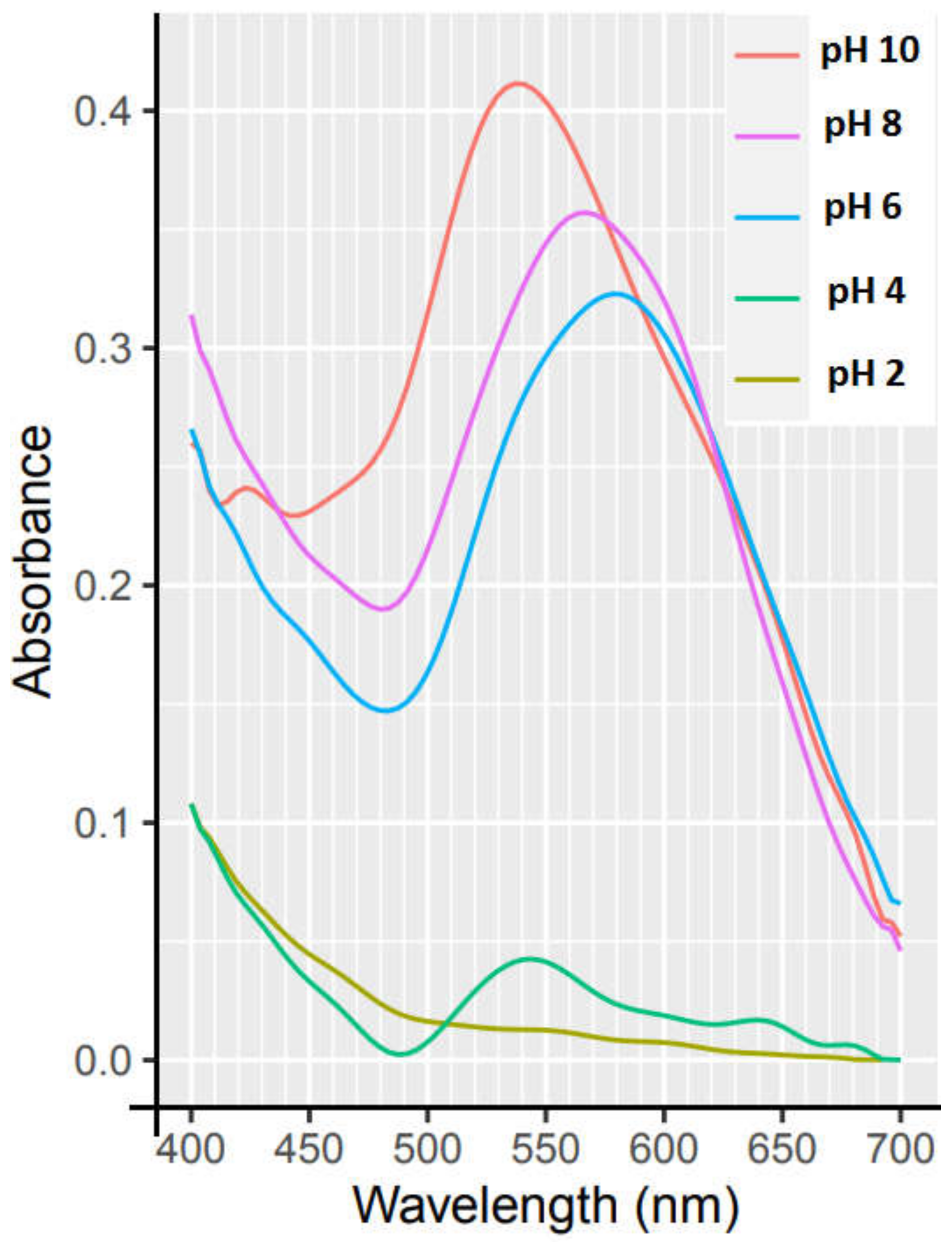 Applsci 11 11559 g002