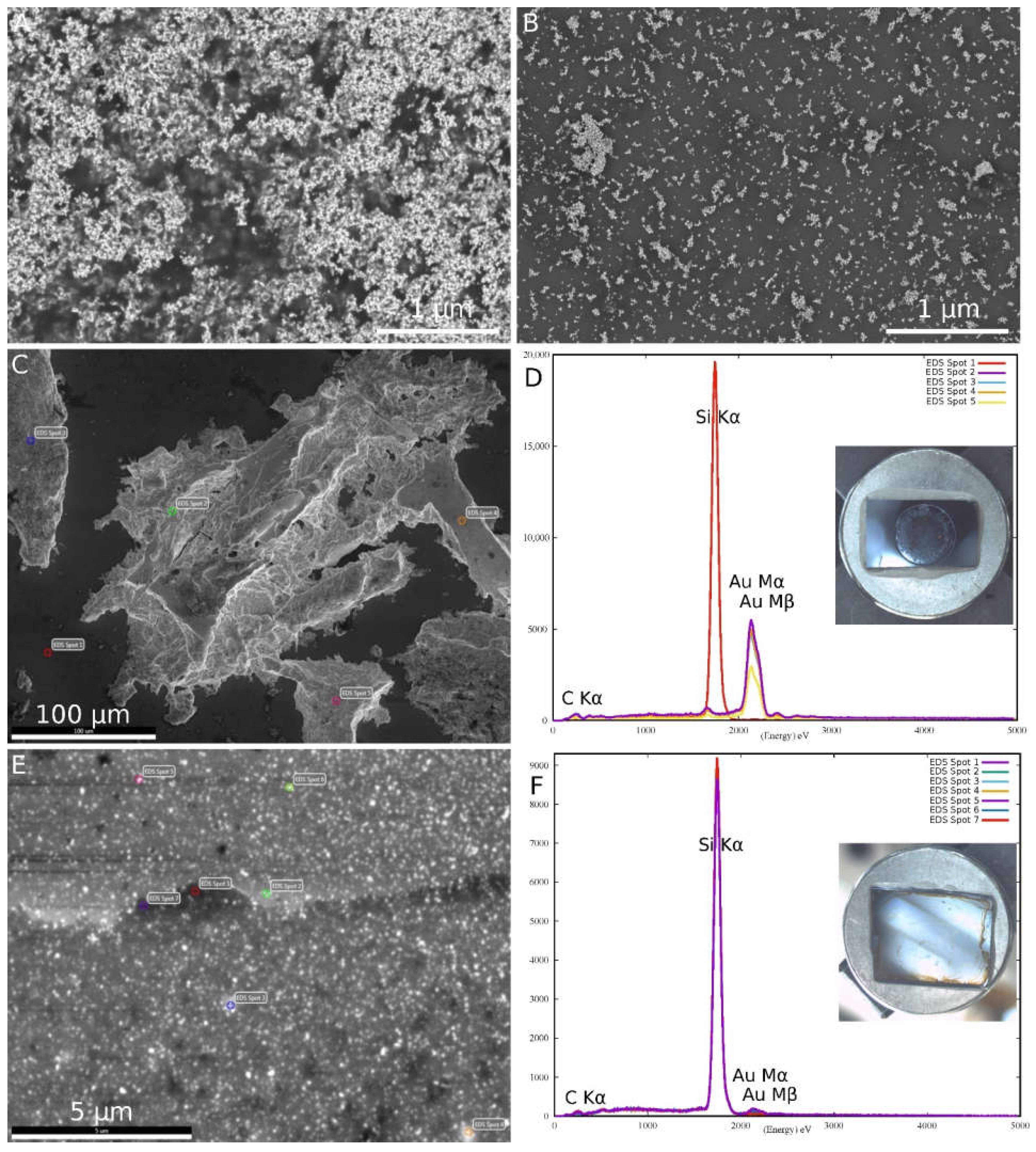 Applsci 11 11559 g006