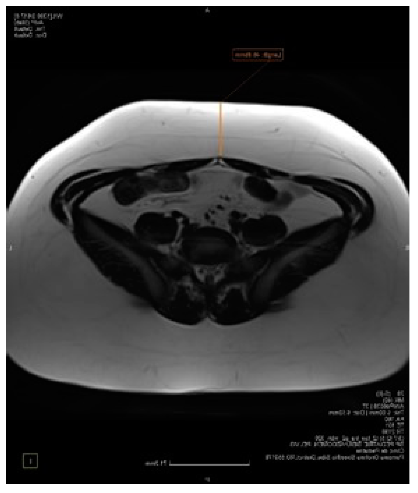 Applsci 11 11565 g004